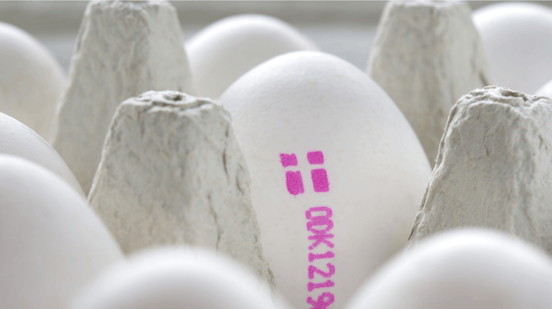 Der blev ikke fundet giftige PFAS-stoffer i ikke-økologiske æg.