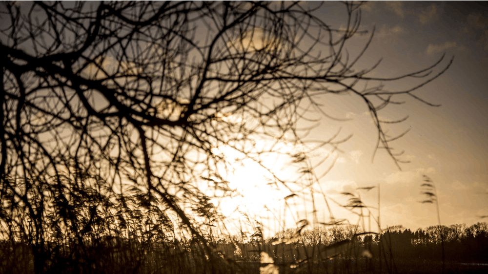 Torsdag og fredag er der gode chancer for sol i mange dele af landet, selv om temperaturerne ikke sniger sig over fem grader. 