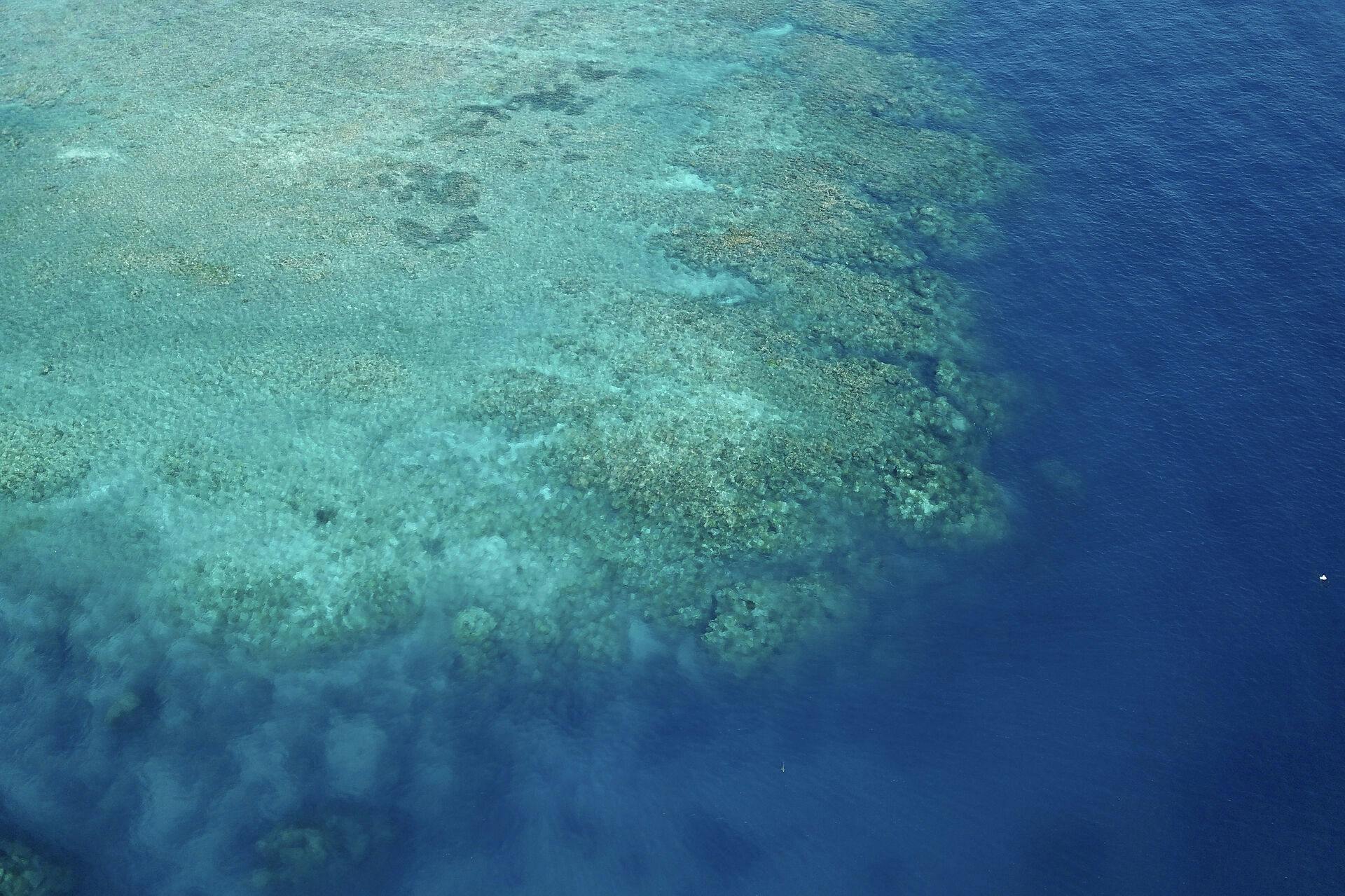 Great Barrier Reef ligger i Australien.
