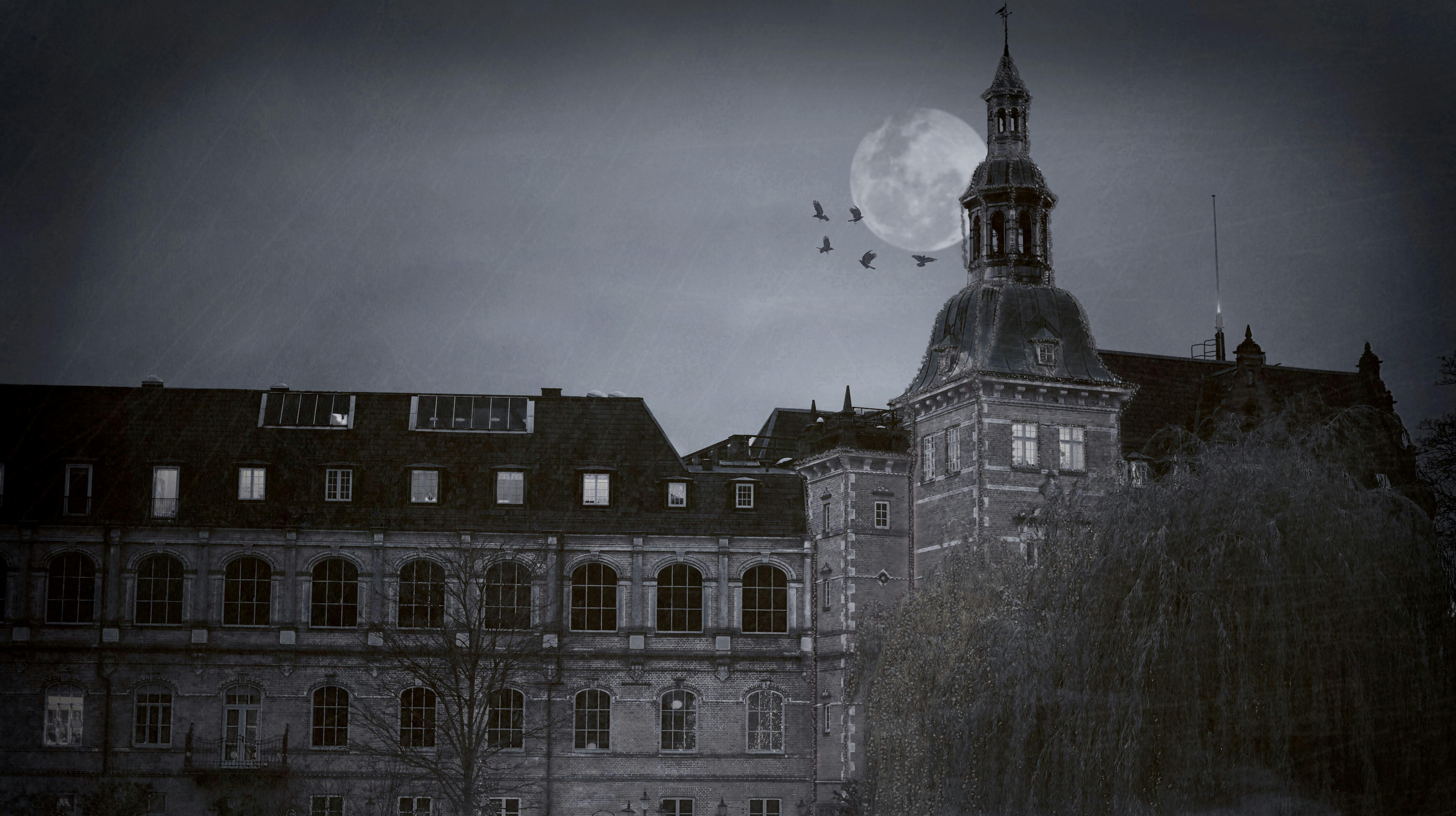Villa Vendetta er Tivolis permanente scary house placeret i Tivoli Slottet.