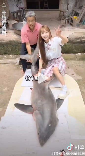 Madbloggeren filmede øjeblikket, hvor hun poserede med den døde hvidhaj. Efterfølgende filmede hun også, at hun tilberedte og spiste dele af den. 