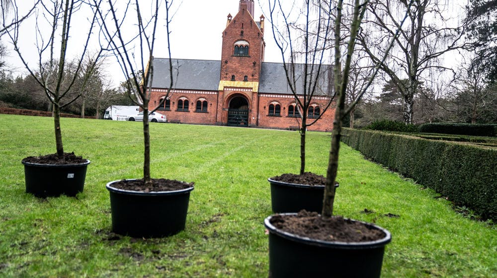 Tidligere minister og overborgmester Ritt Bjerregaard begraves på Vestre Kirkegård nær socialdemokratiske koryfæer som Anker Jørgensen og Thorvald Stauning. På gravpladsen plantes fem æbletræer, som Bjerregaard selv har udvalgt.