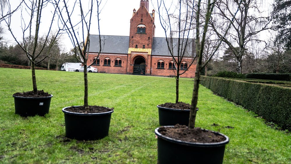 Tidligere minister og overborgmester Ritt Bjerregaard begraves på Vestre Kirkegård nær socialdemokratiske koryfæer som Anker Jørgensen og Thorvald Stauning. På gravpladsen plantes fem æbletræer, som Bjerregaard selv har udvalgt.