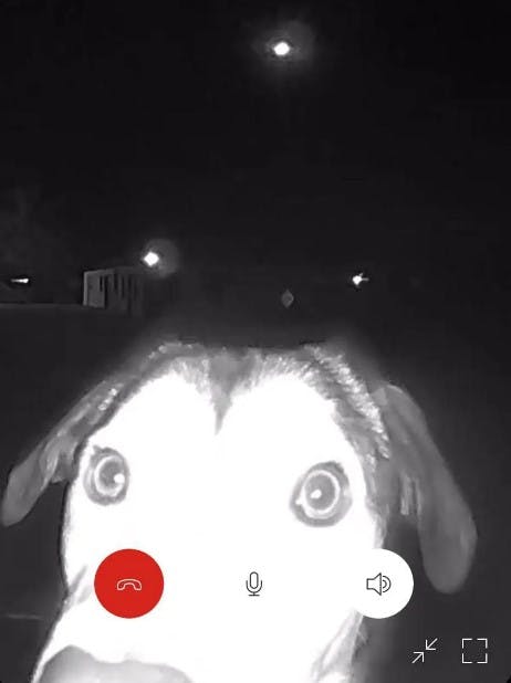 Halloooooo - luk mig ind!