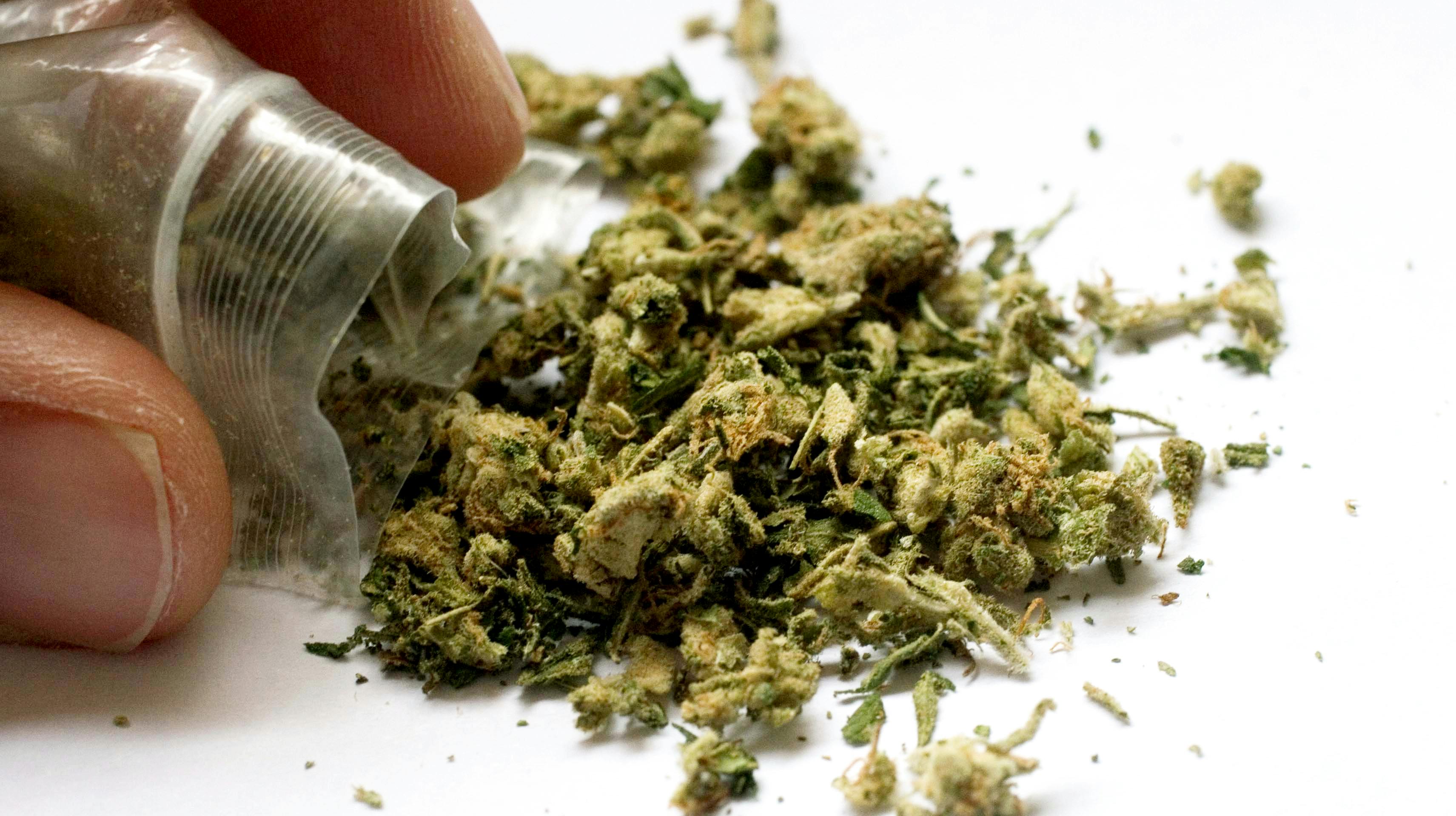 Kolonihaven gemte på lidt af en hemmelighed. nbsp;