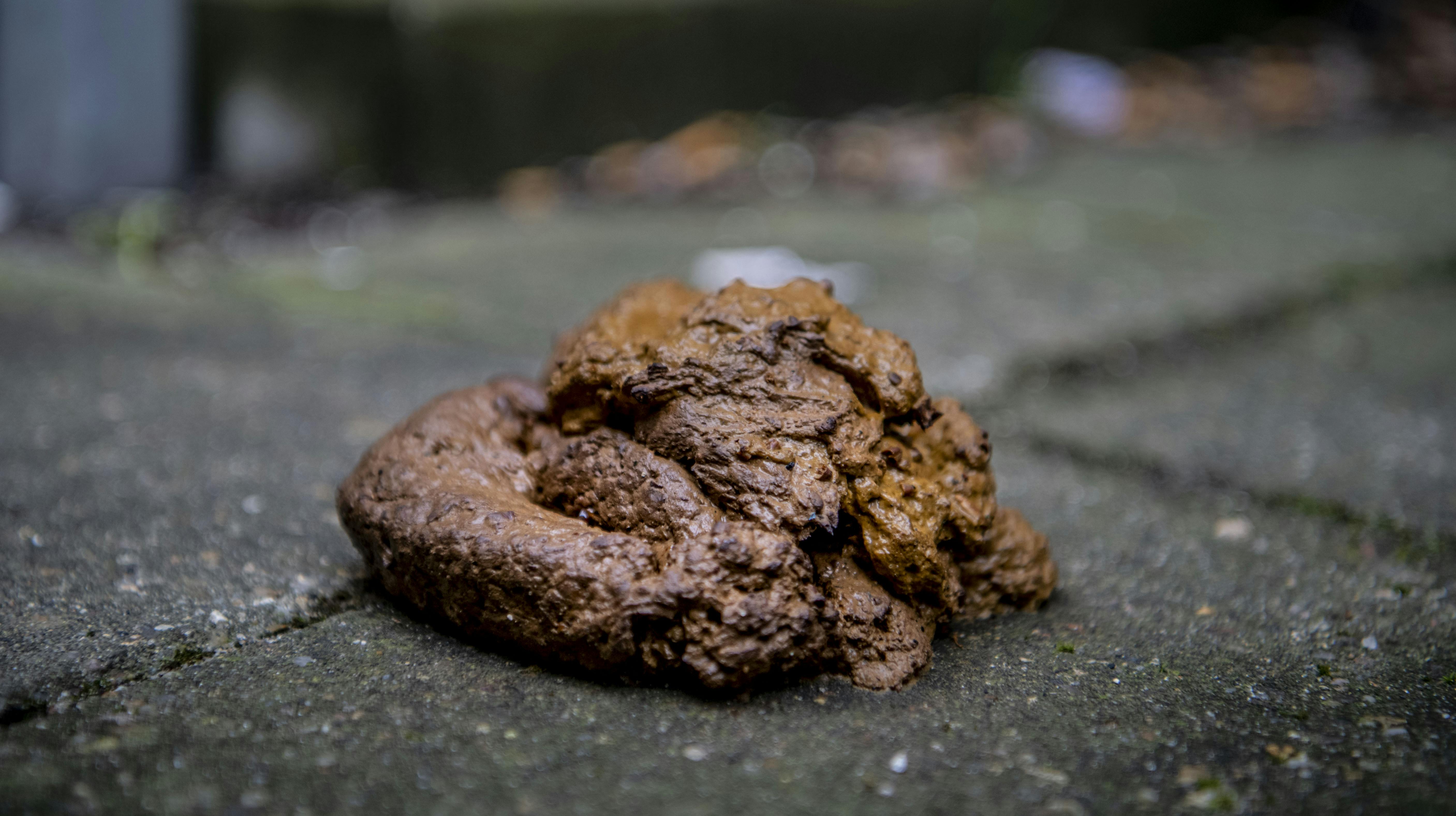 En balletdirektør er blevet fyret, efter han angreb en journalist med en hundelort. Det er ikke lorten på billedet, der blev angrebet med.