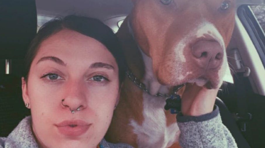 Hunden Irish er nu blevet skudt efter angrebet mod Trinity Rowles.