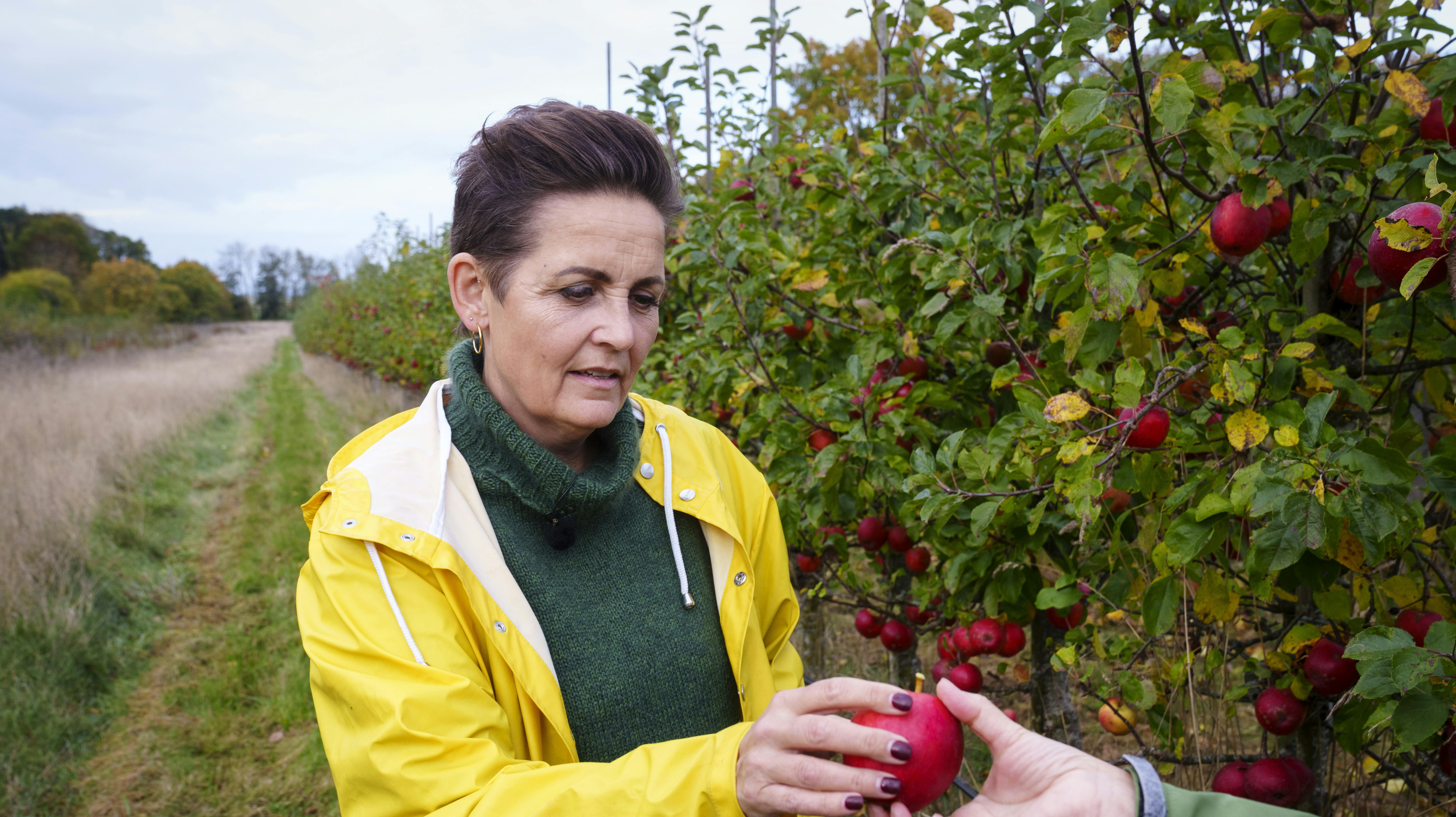 SF med Pia Olsen Dyhr i spidset høster vælgere efter afskaffelsen af store bededag. nbsp;