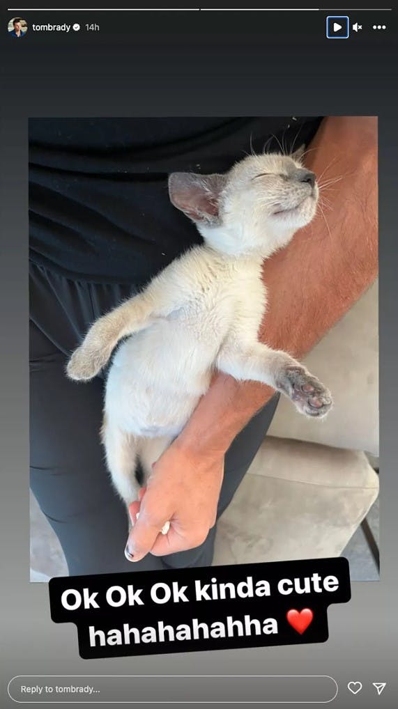 Selvom Tom Brady beskylder datterens kat for, at han ikke kan lave et comeback, ser han meget tilfreds ud med det nye familiemedlem.