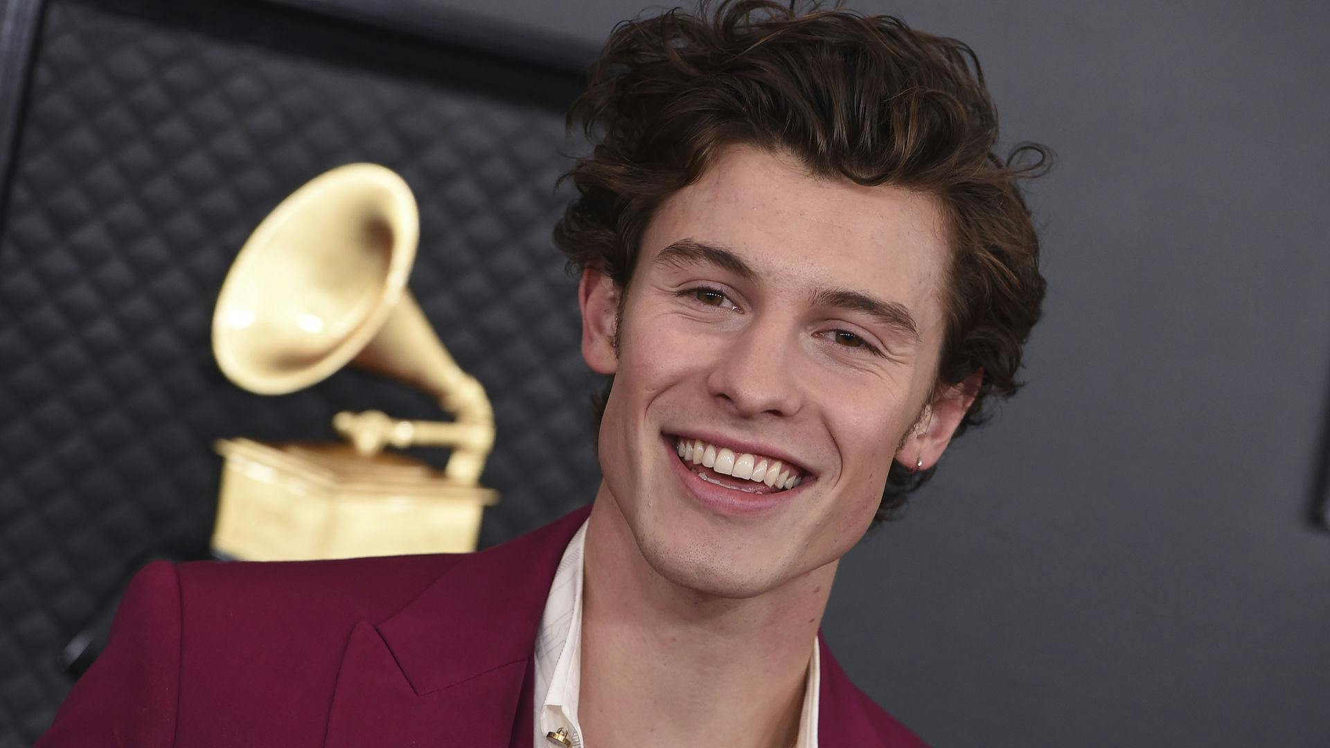Shawn Mendes har en ny dame i sit liv.