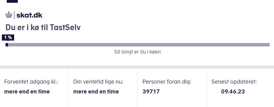 Dette syn møder man fredag morgen, hvis man forsøger at logge ind på Skattestyrelsens hjemmeside.