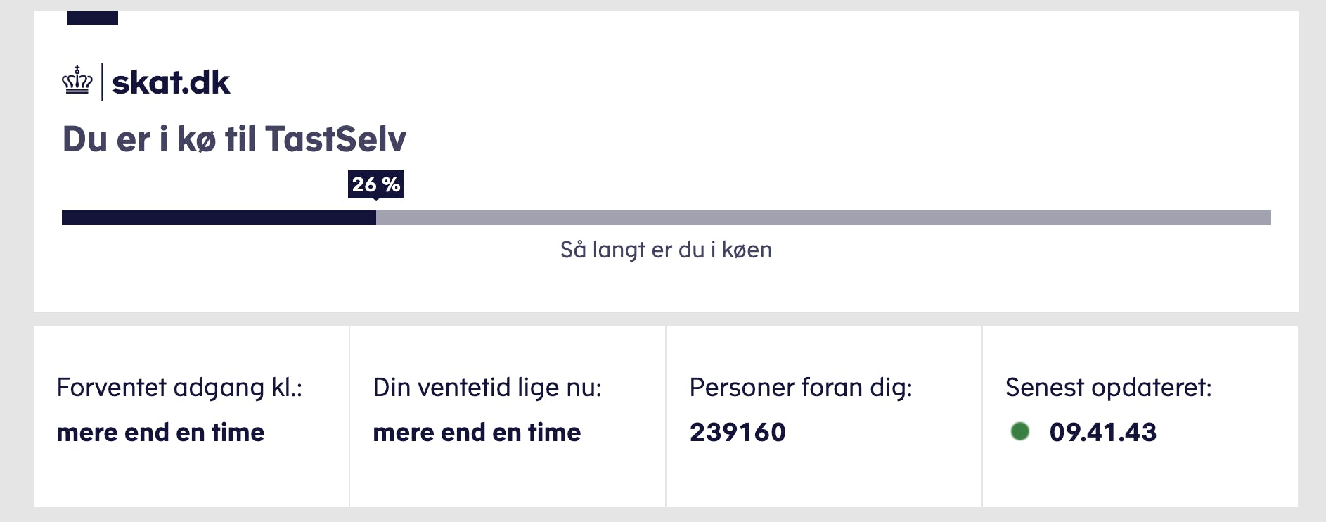 Sådan oplever mange skat.dk i disse timer.