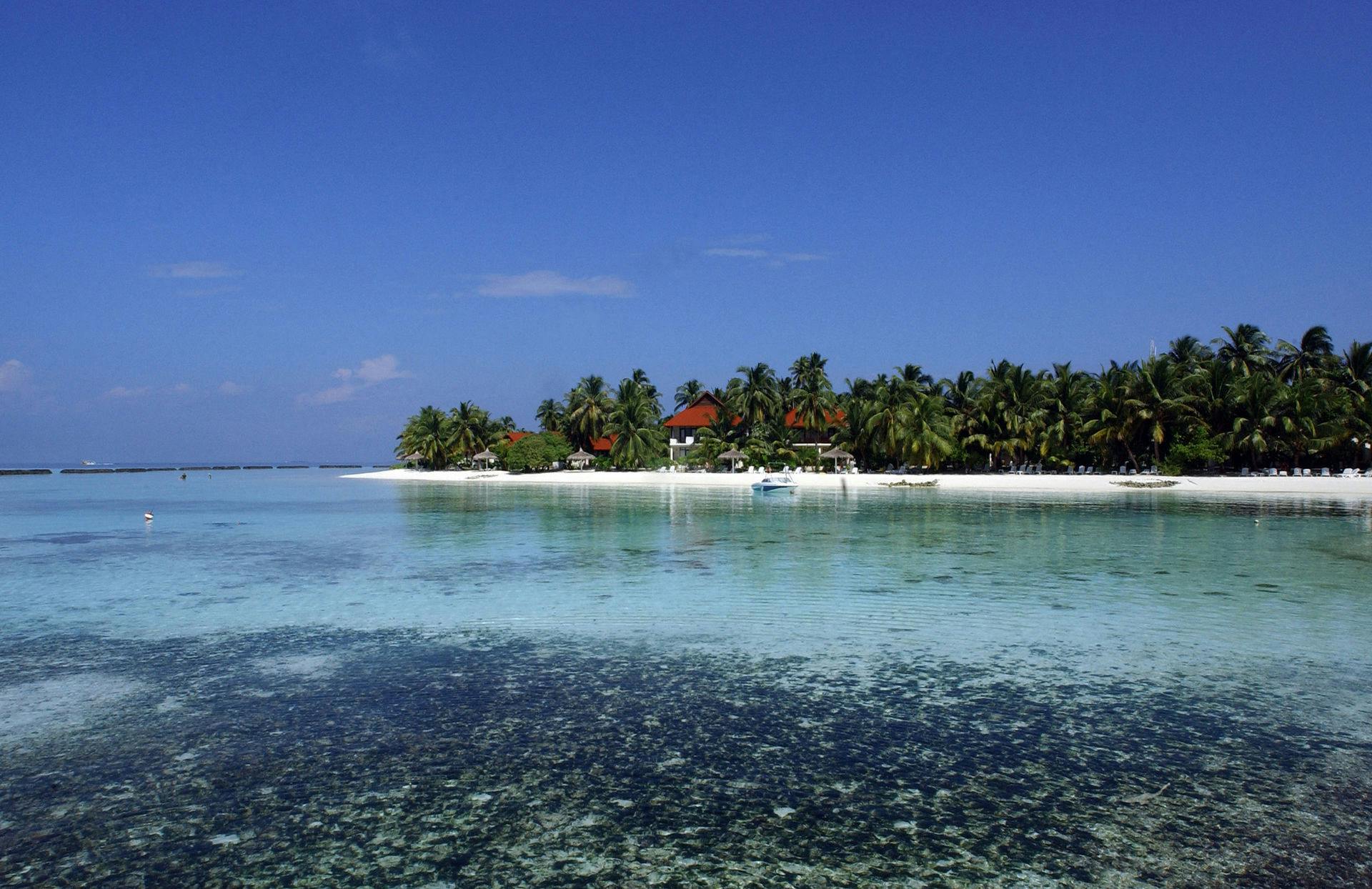 Maldiverne er en østat bestående af 1192 atoller, og på mange af de små øer ligger eksklusive hoteller.&nbsp;
