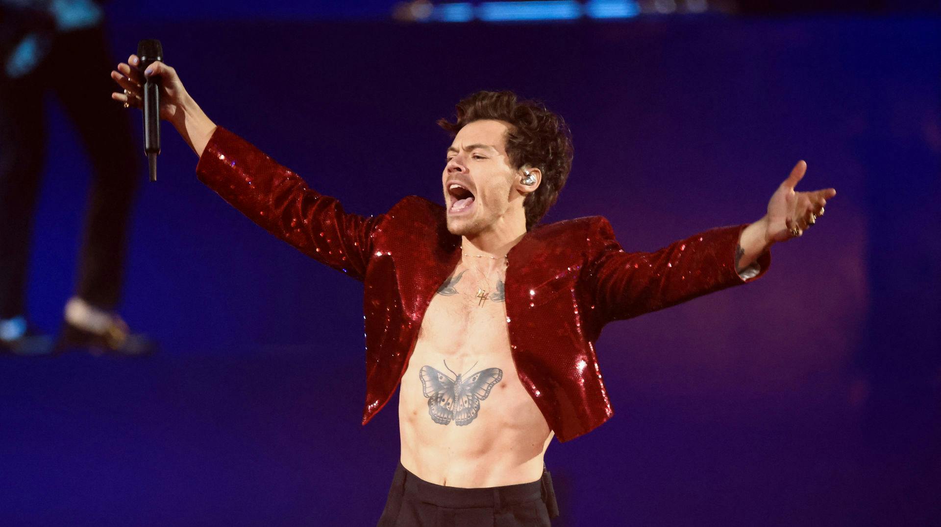 Harry Styles har eftersigende kastet sin kærlighed efter den australske influencer. 