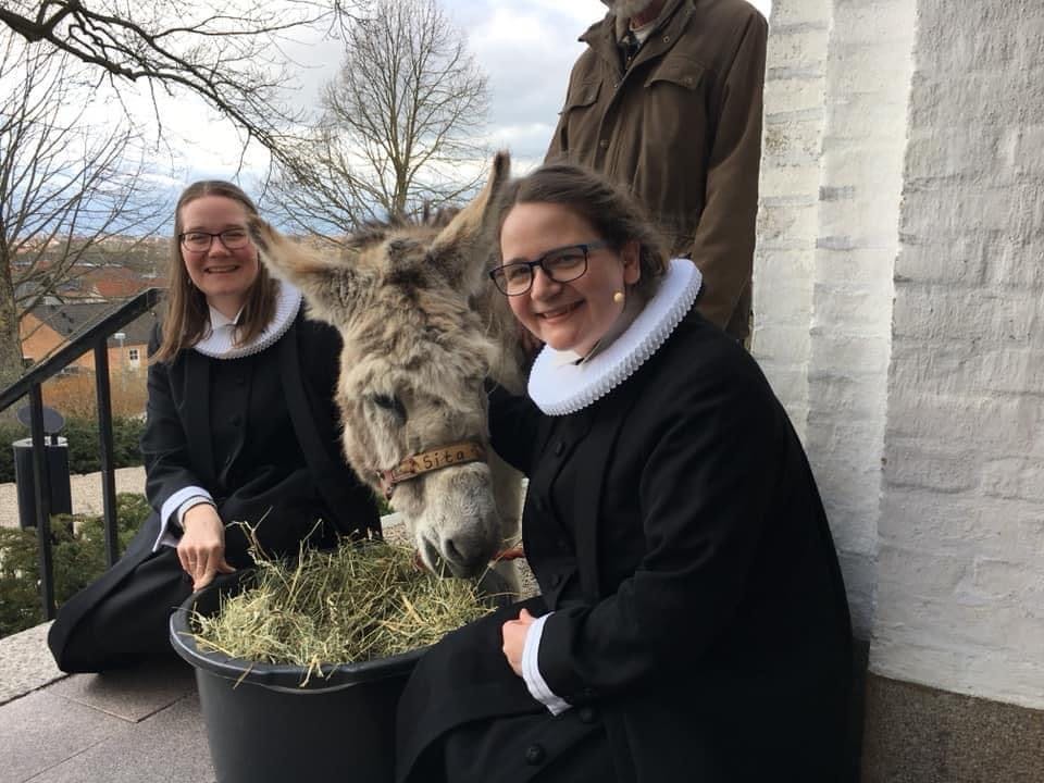 De to sognepræster - Mette Olesen Krawiec (tv.) og Susanne Hjørlund (th.) sammen med deres tidligere æsel Sita, som trofast udfyldte rollen i påskeoptoget i flere år. 