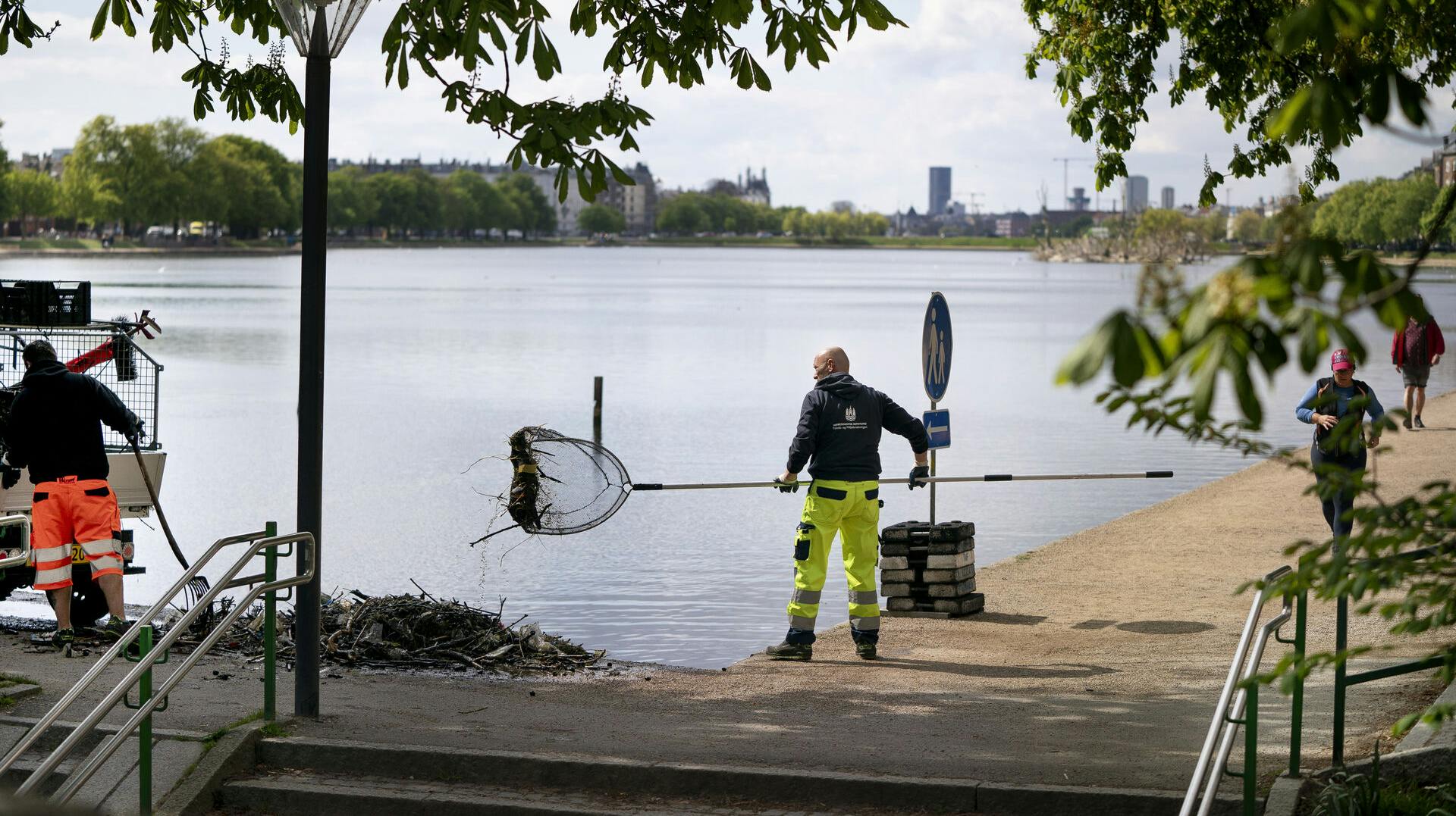 Det er et større projekt både arbejds- og sundhedsmæssigt at få søerne rene.