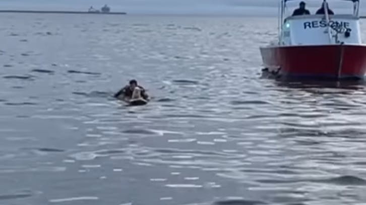Chase McColl reddede hunden Tofu, der var svømmet ualmindeligt langt ud på det åbne hav.