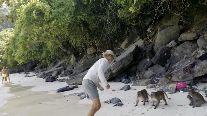 Dum eller modig? Det må man selv vurdere ud fra videoen længere nede i artiklen.