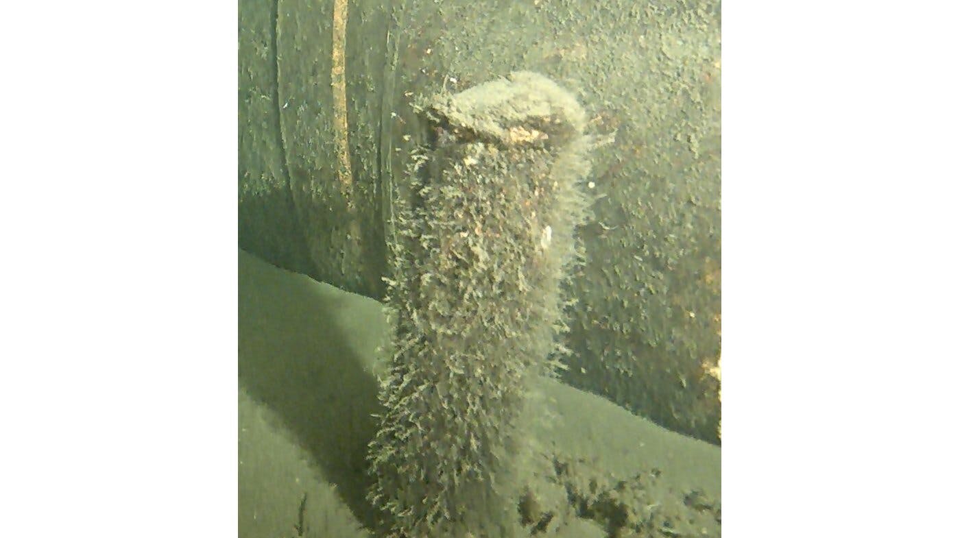 Sådan ser den ud, den mystiske genstand på omkring 40 centimeter, der står lige i nærheden af gasledningen 