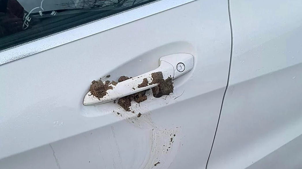 Det er angiveligt hundelort, der er tale om, som er blevet smurt ind på bilen.