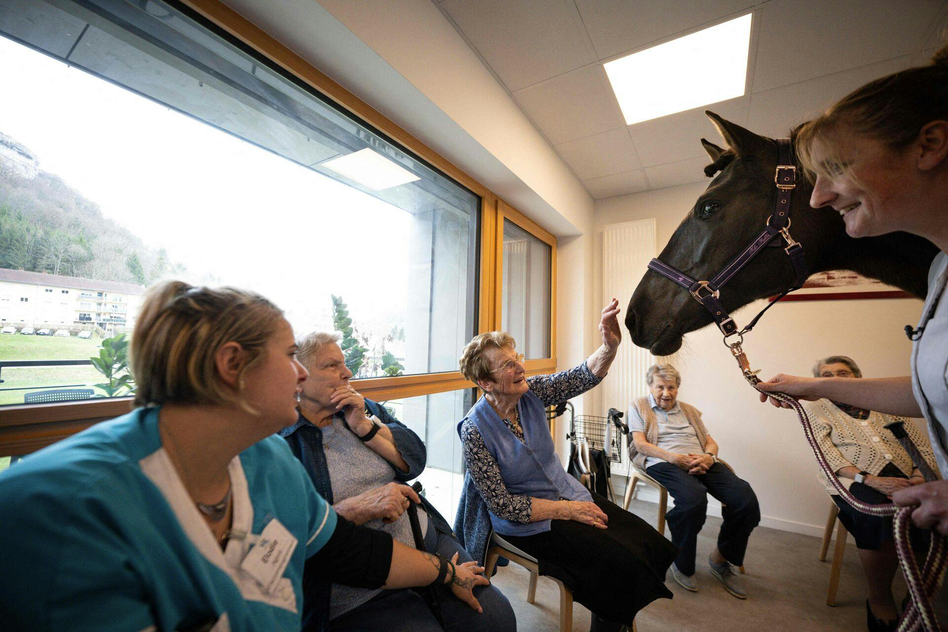En 10 år gammel hest spreder glæde og smil hos beboerne på et fransk plejehjem.

