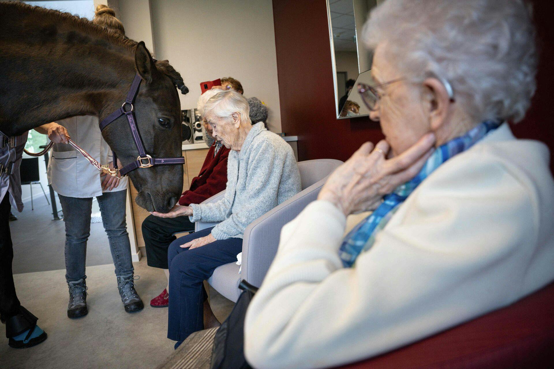 En 10 år gammel hest spreder glæde og smil hos beboerne på et fransk plejehjem.