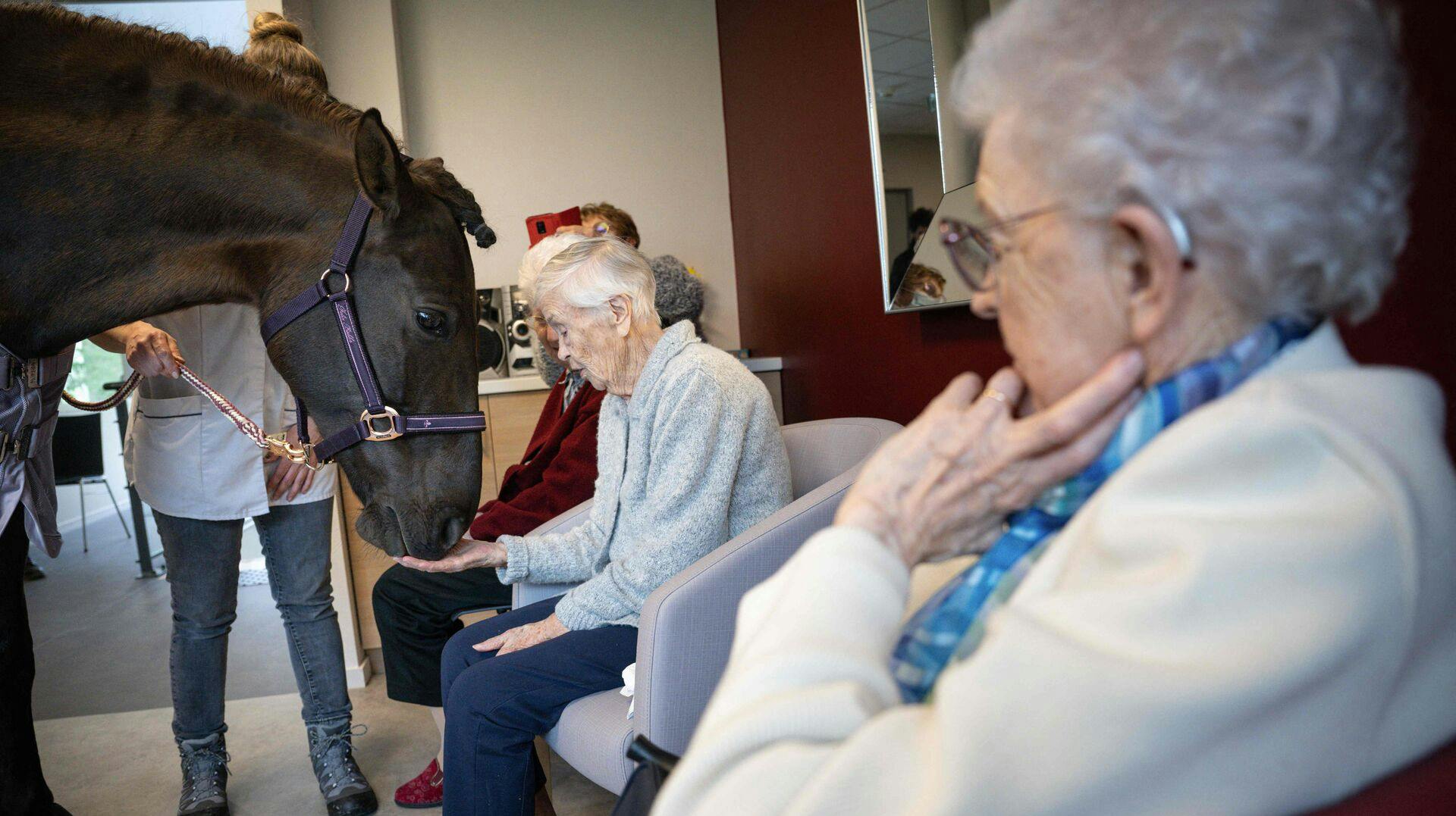 En 10 år gammel hest spreder glæde og smil hos beboerne på et fransk plejehjem.