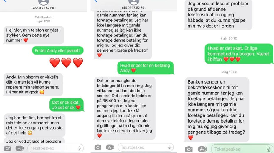 En svindler forsøgte at udgive sig for at være Heidis søn. Heldigvis lugtede hun lunten. nbsp;