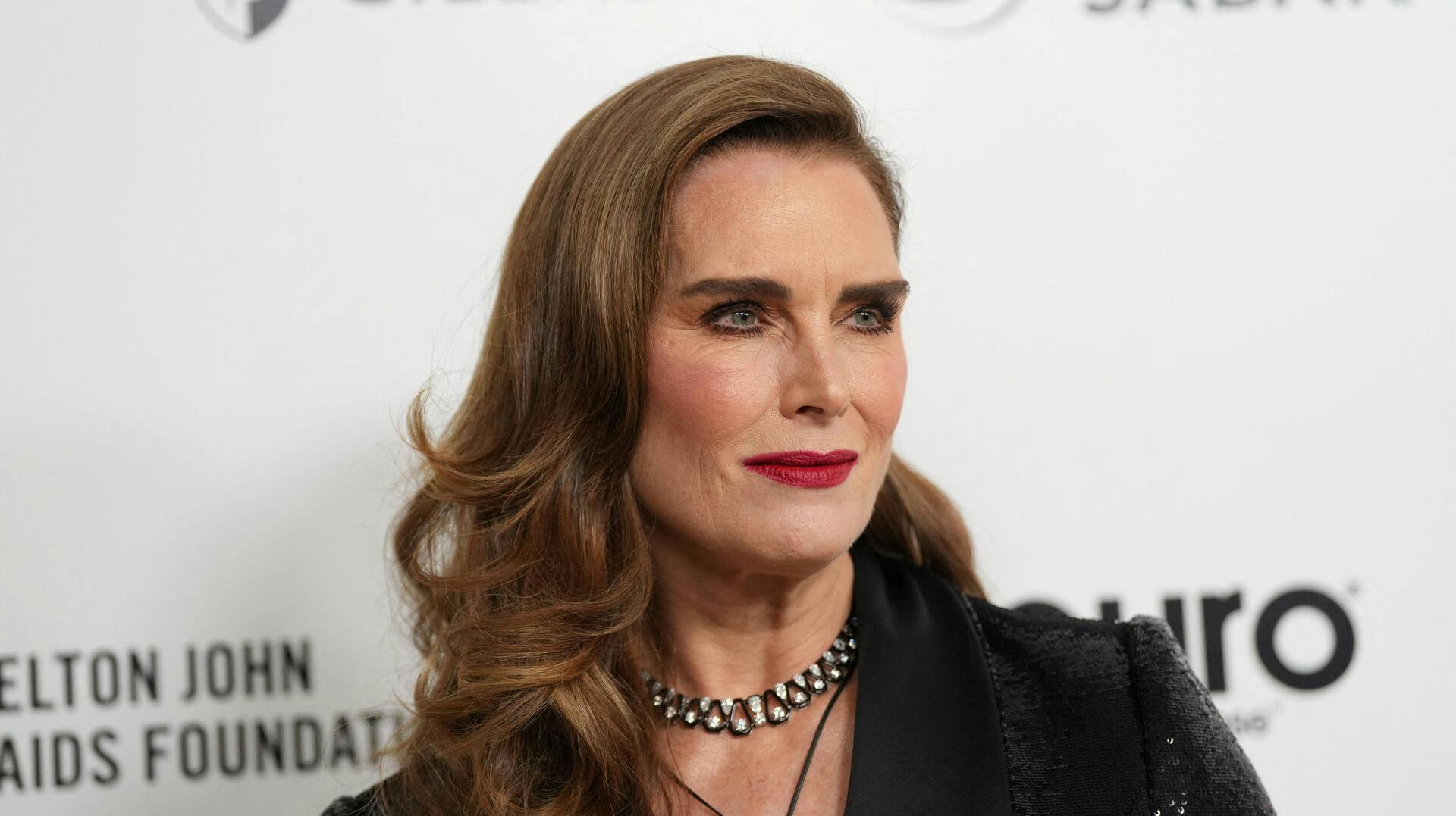 Brooke Shields nåede at være gift med Andre Agassi i to år.