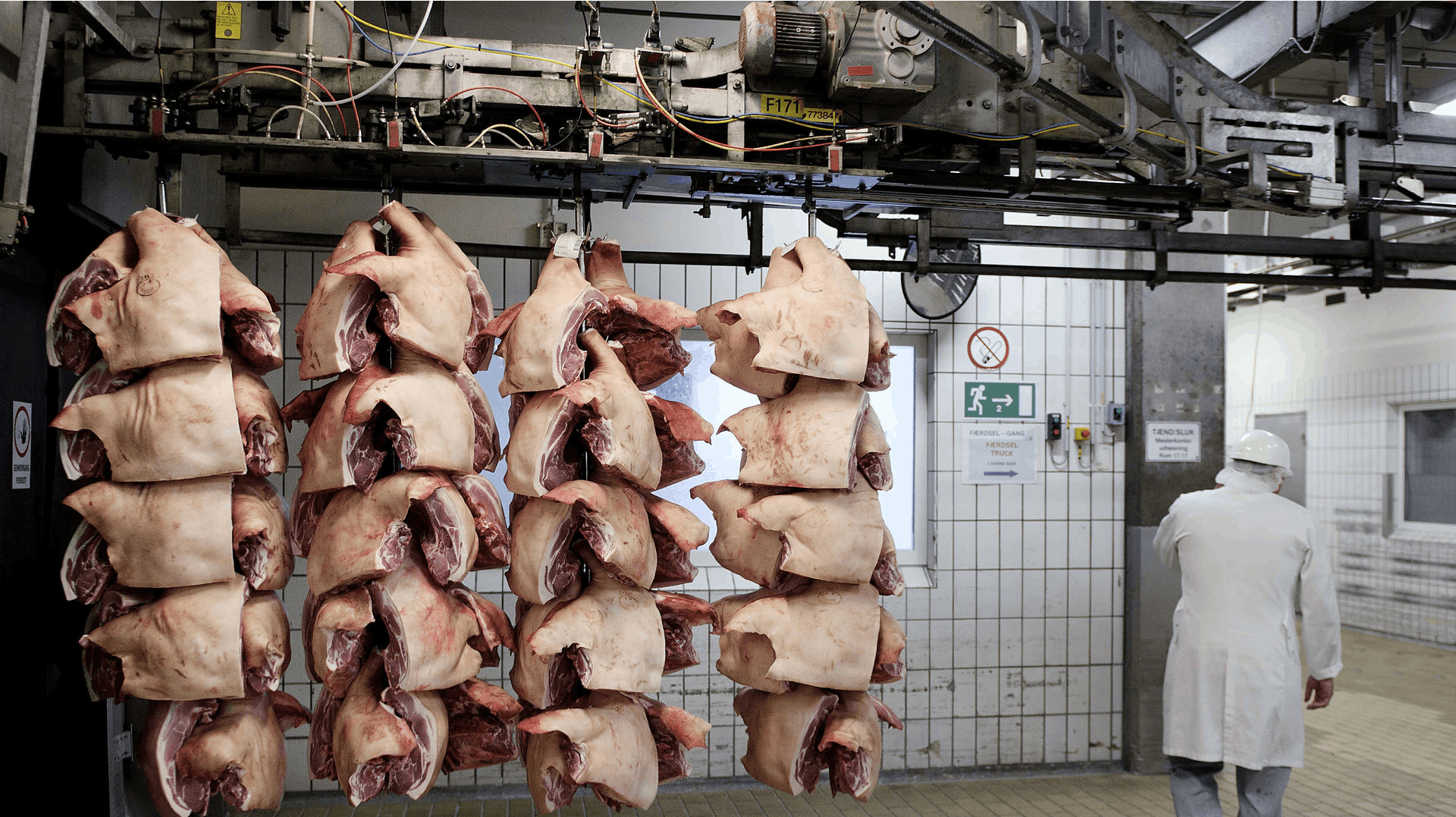 På et Danish Crown-slagteri i Skærbæk (ikke det på billedet) glemte en medarbejder at tænde for ventilationsanlægget.