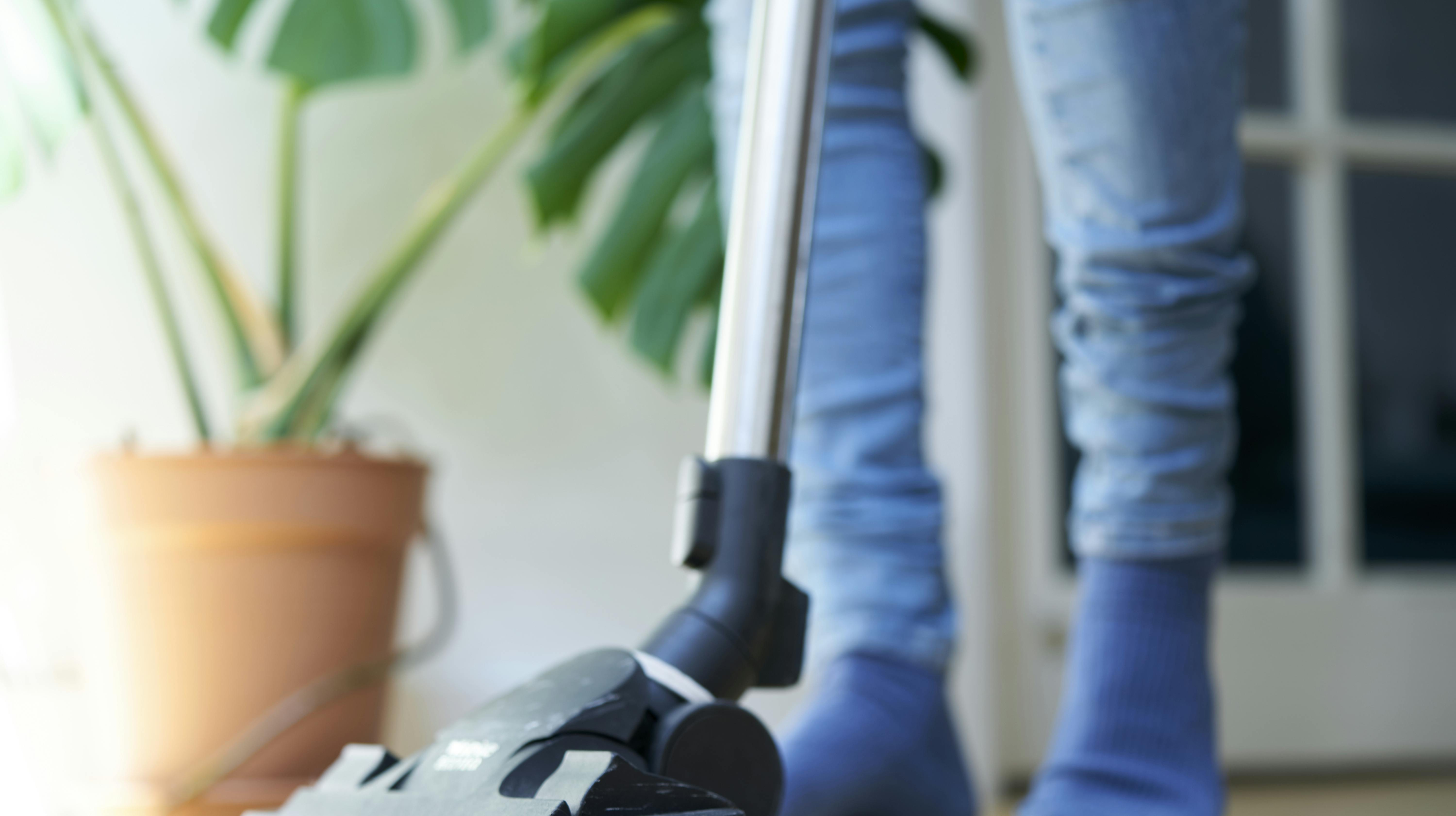 I Norge er det slut med au pair-ordningen 
