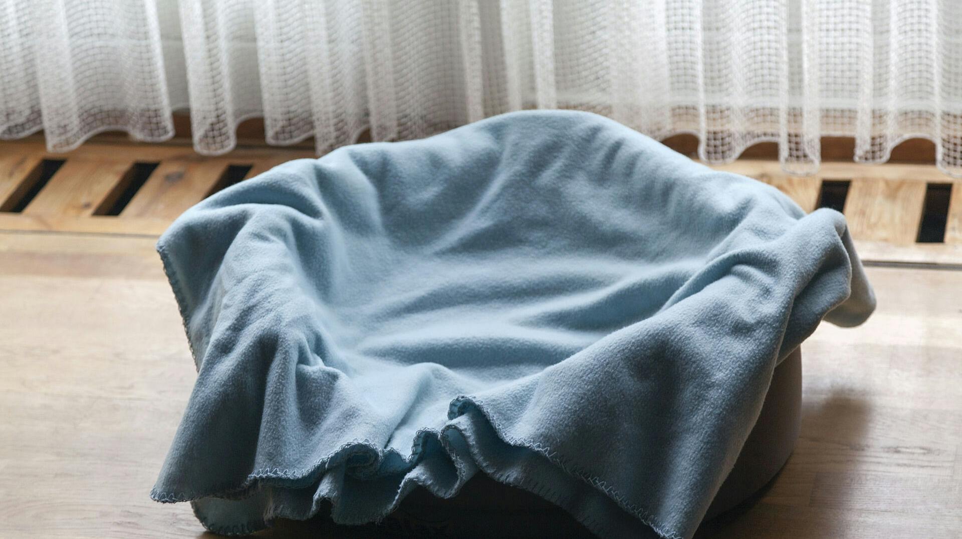 Et offer i Brønderslev blev tvunget til at ligge i en hundekurv.