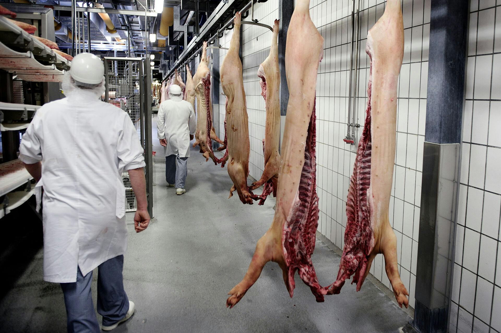 På et Danish Crown-slagteri i Skærbæk (ikke det på billedet) glemte en medarbejder at tænde for ventilationsanlægget.