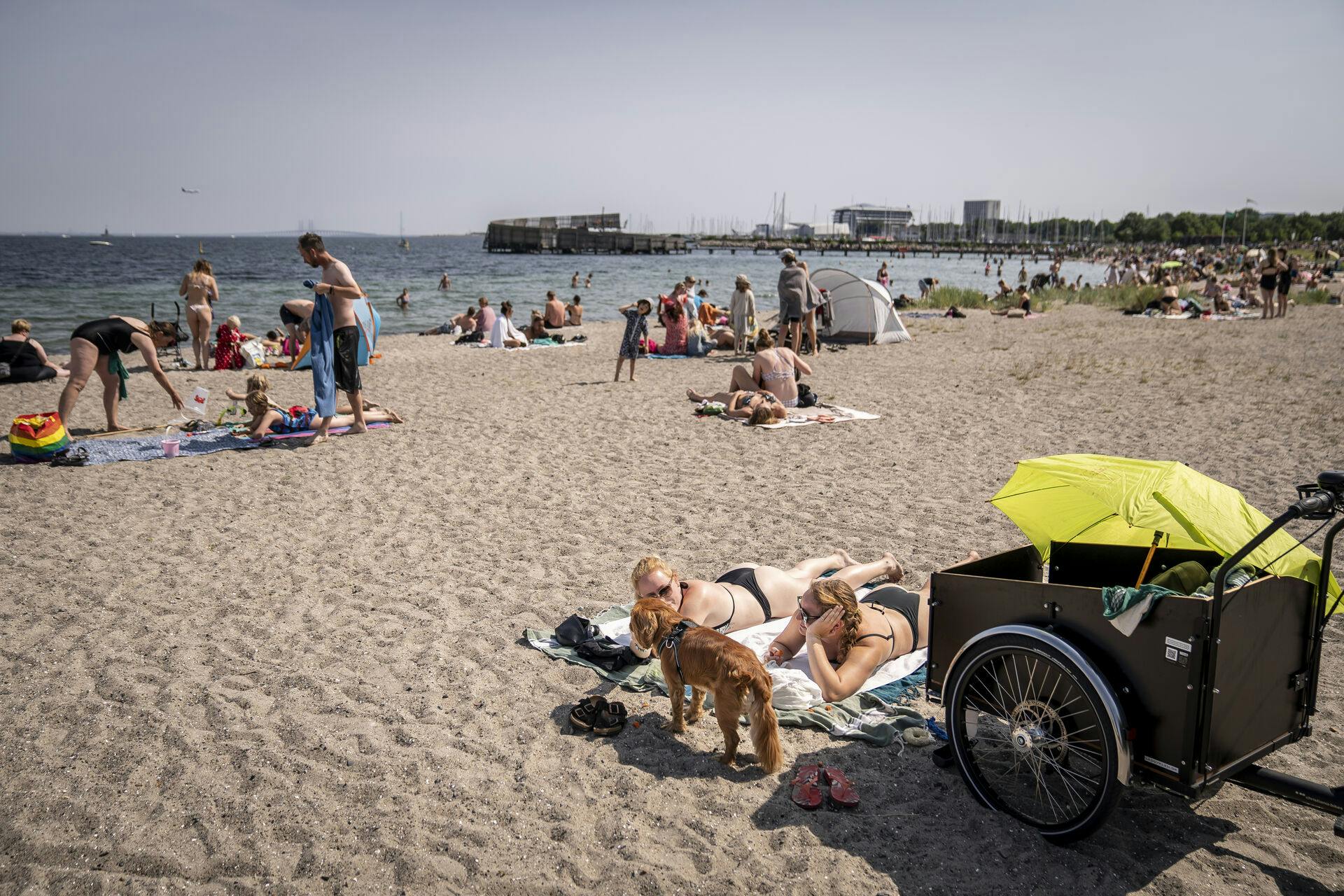 Det er blandt andet området her ved Amager Strandpark, der nu skal bindes sammen, så det bliver nemmere at gå og cykle - men sværere at køre i bil.