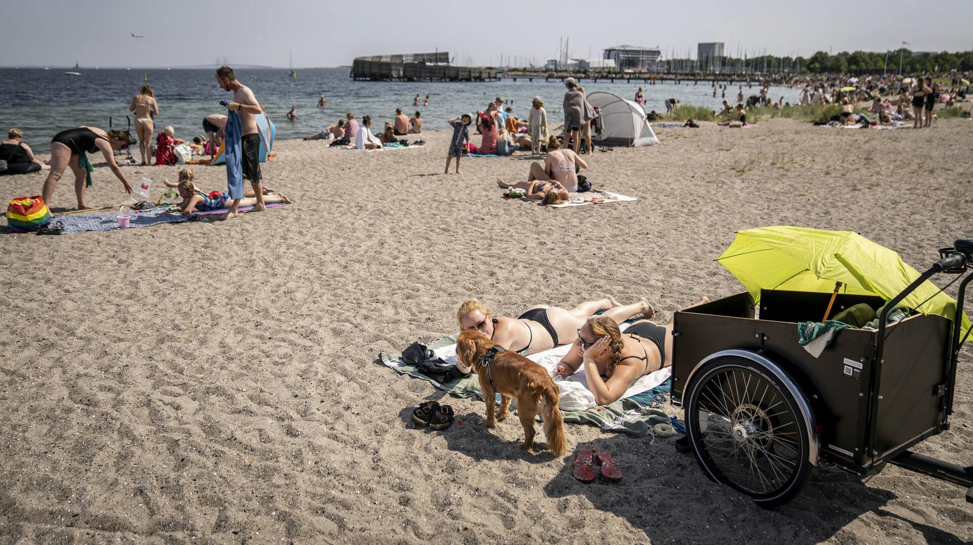 Det er blandt andet området her ved Amager Strandpark, der nu skal bindes sammen, så det bliver nemmere at gå og cykle - men sværere at køre i bil.