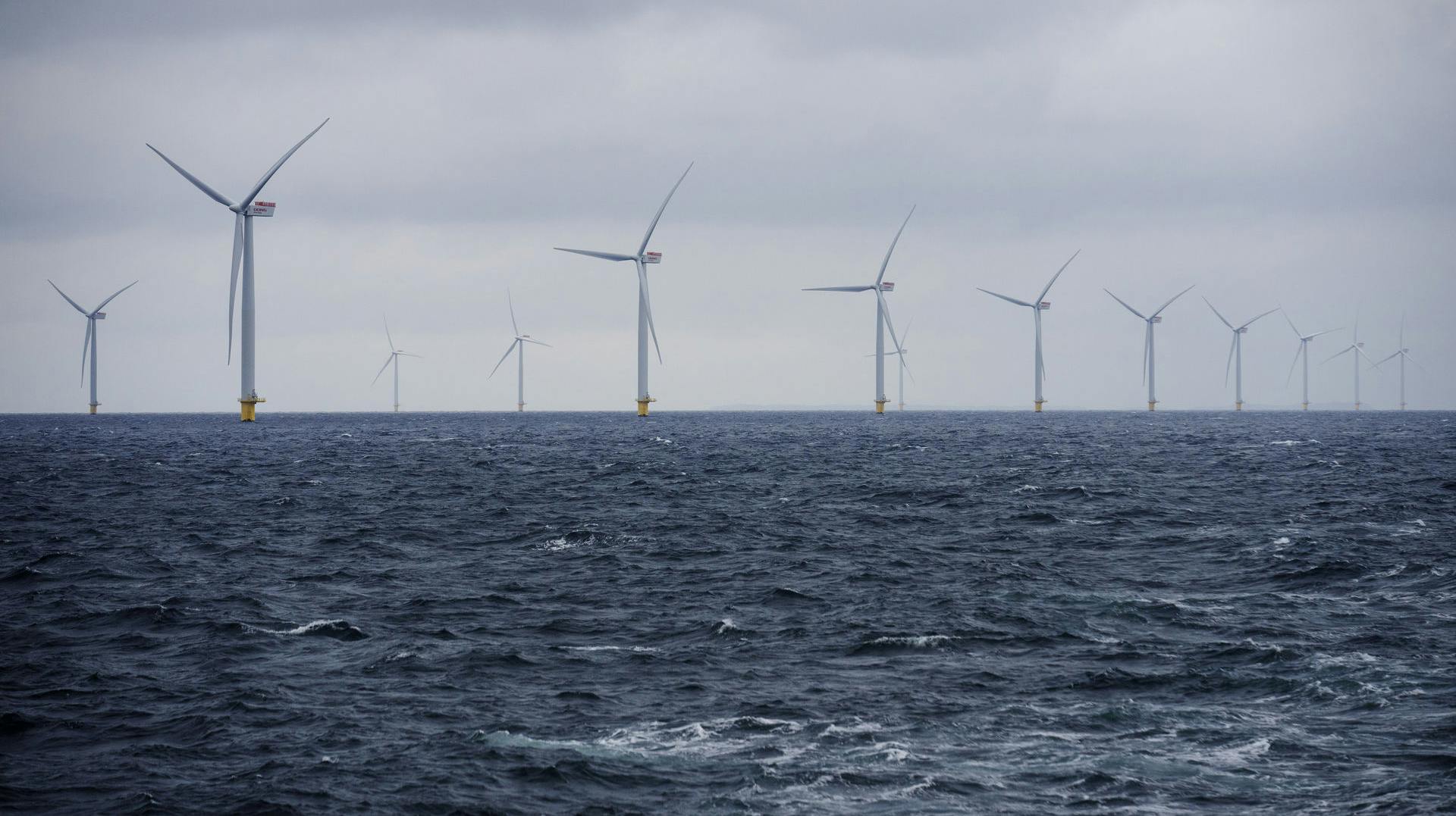 Energi Danmark stod til at betale store bonusser til to af medarbejderne, inden de blev fyret.