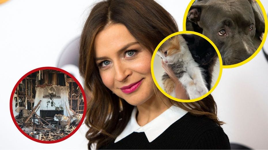 Caterina Scorsones hus er brændt ned - og hendes kæledyr døde i branden.