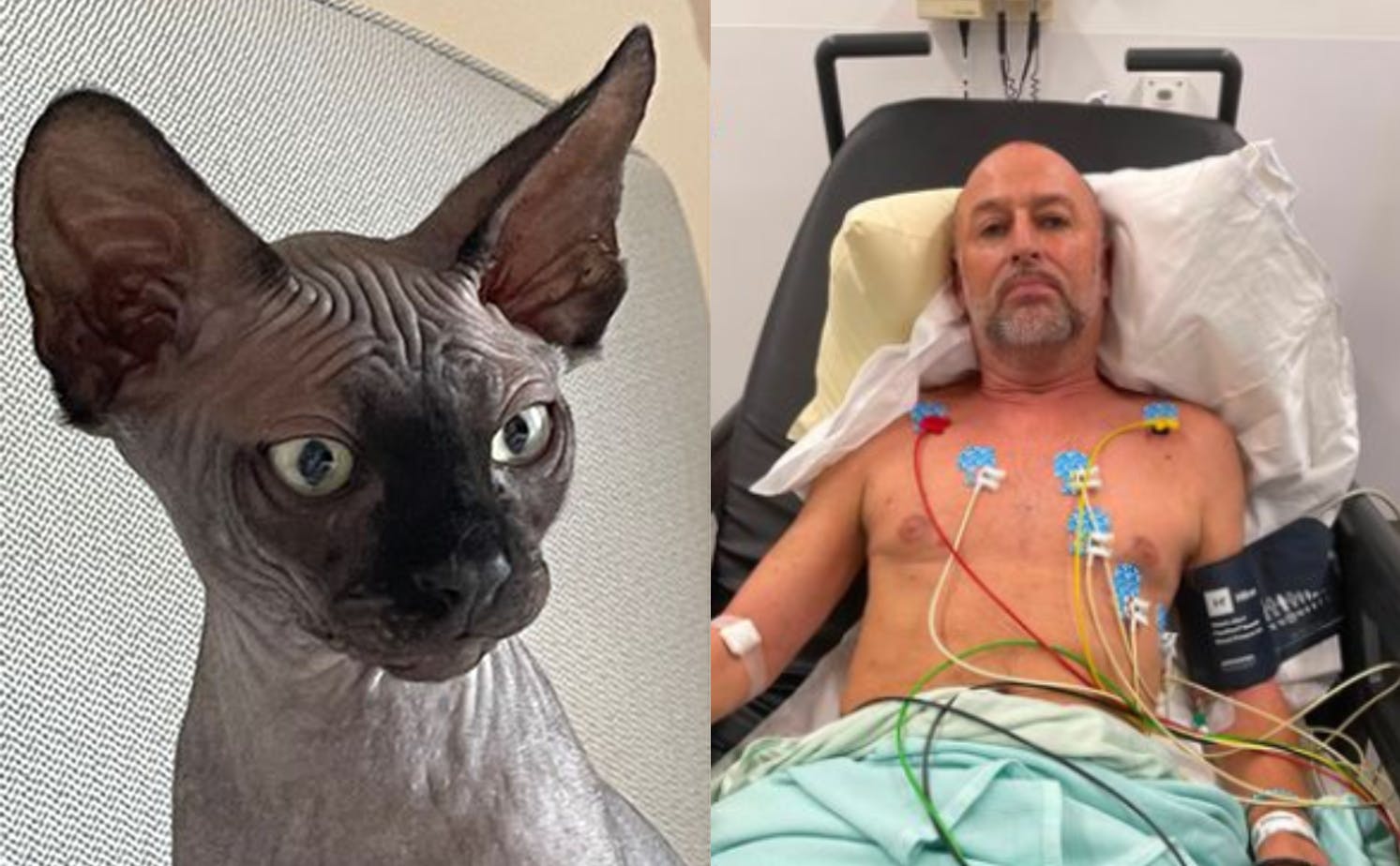 Katten, som har fået navnet Eric Morecambe, er stadig en killing, og derfor vældig legesyg. Det var tæt på at koste dens ejer livet.&nbsp;