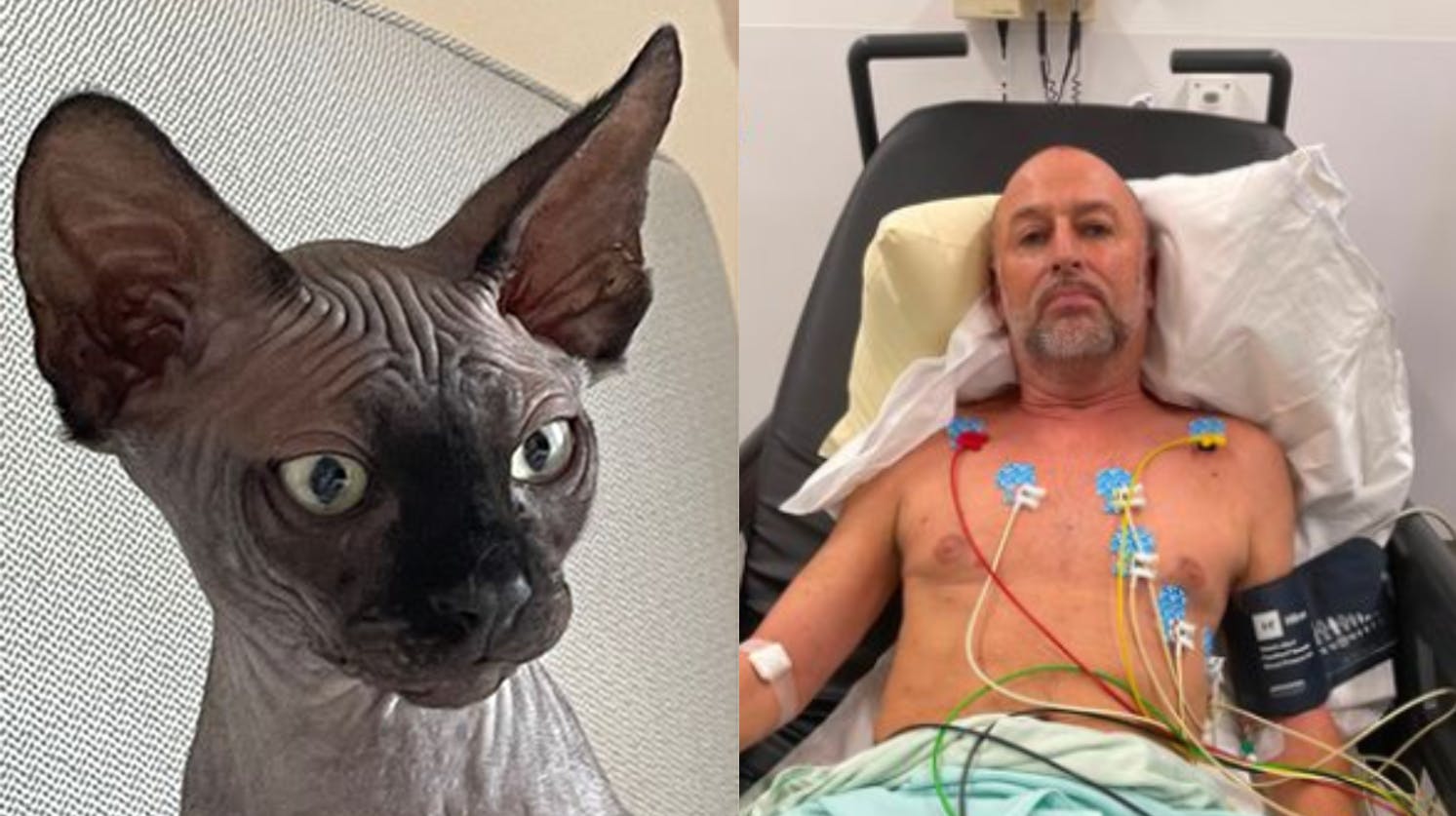 Katten, som har fået navnet Eric Morecambe, er stadig en killing, og derfor vældig legesyg. Det var tæt på at koste dens ejer livet. 