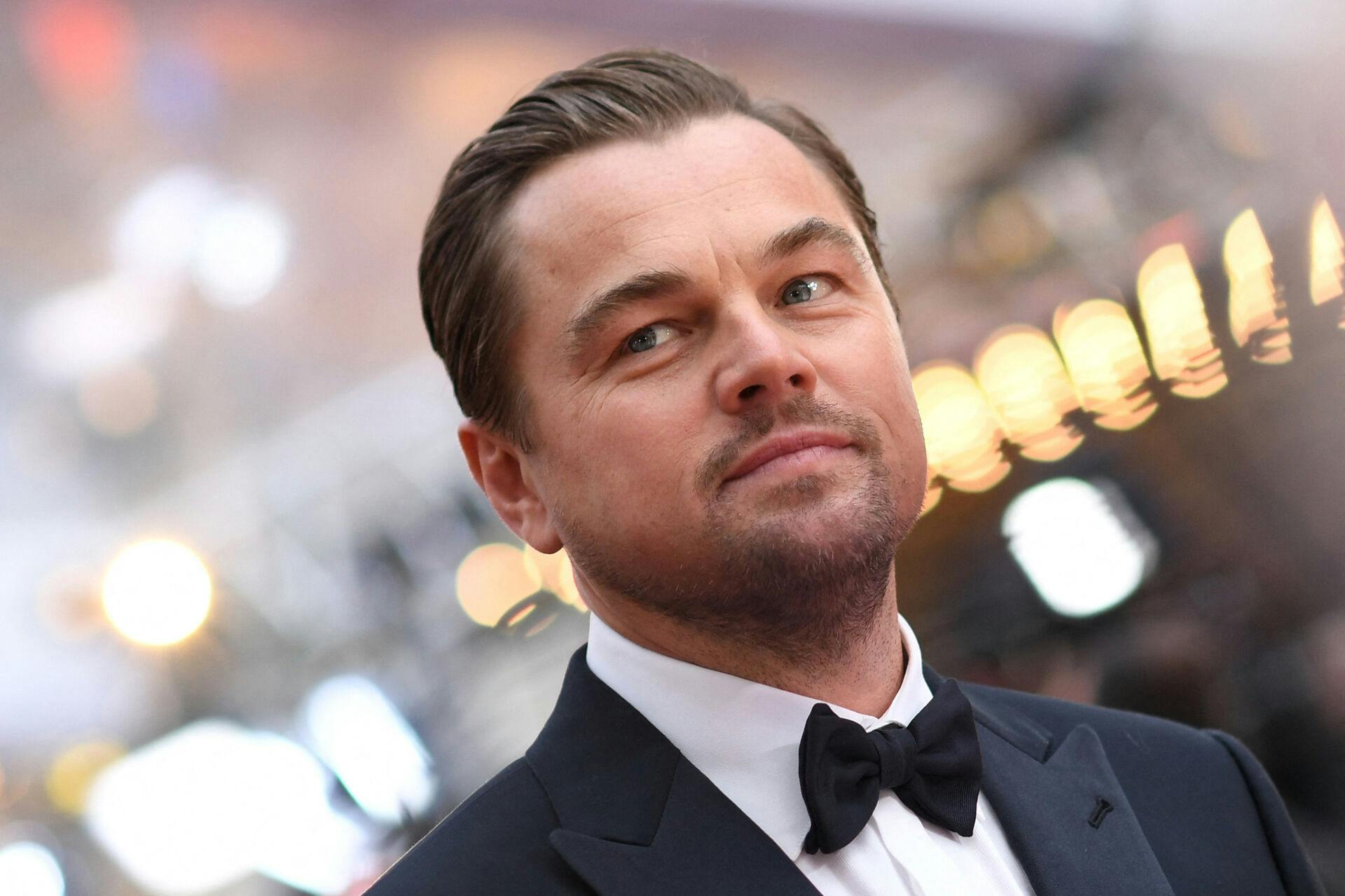 Det ser ud til, at Leonardo DiCaprio har fundet kærligheden igen.