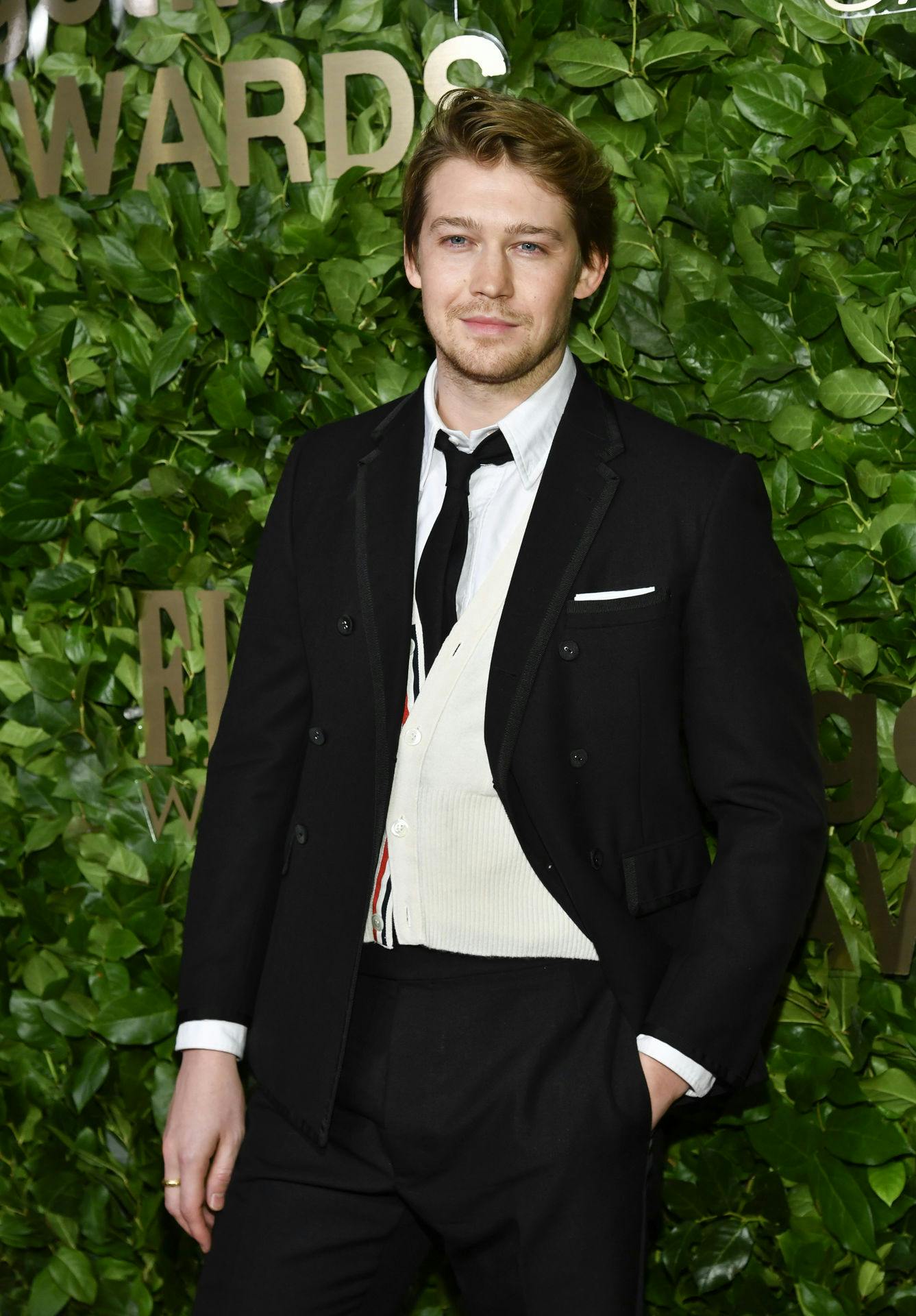 32-årige Joe Alwyn er nok bedst kendt for sine roller i film som "The Facourite" og "Harriet". 
