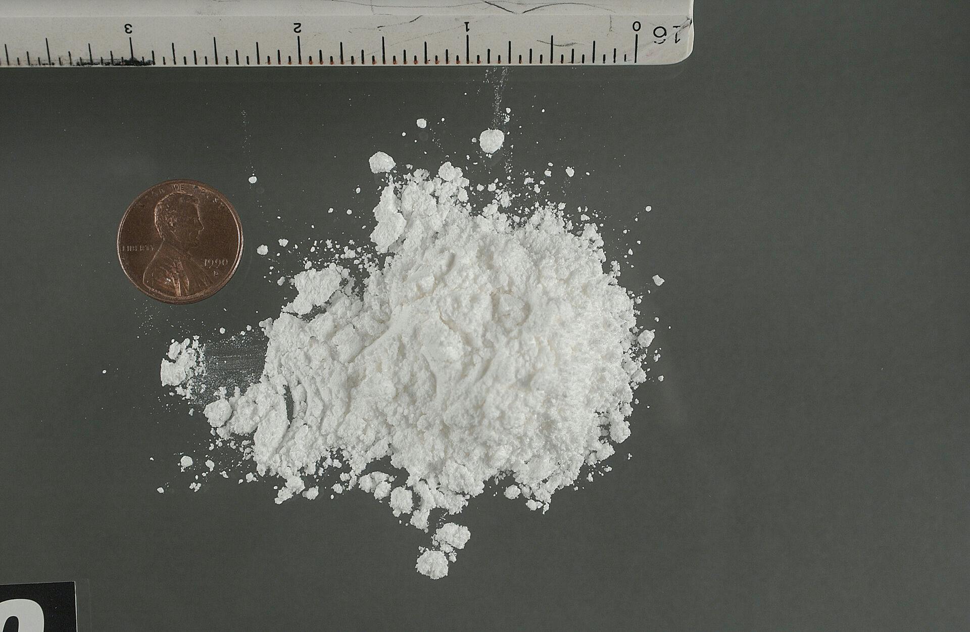 En 41-årig mand har fået en fængselsdom for at smugle 235 kilo kokain ind i Danmark.