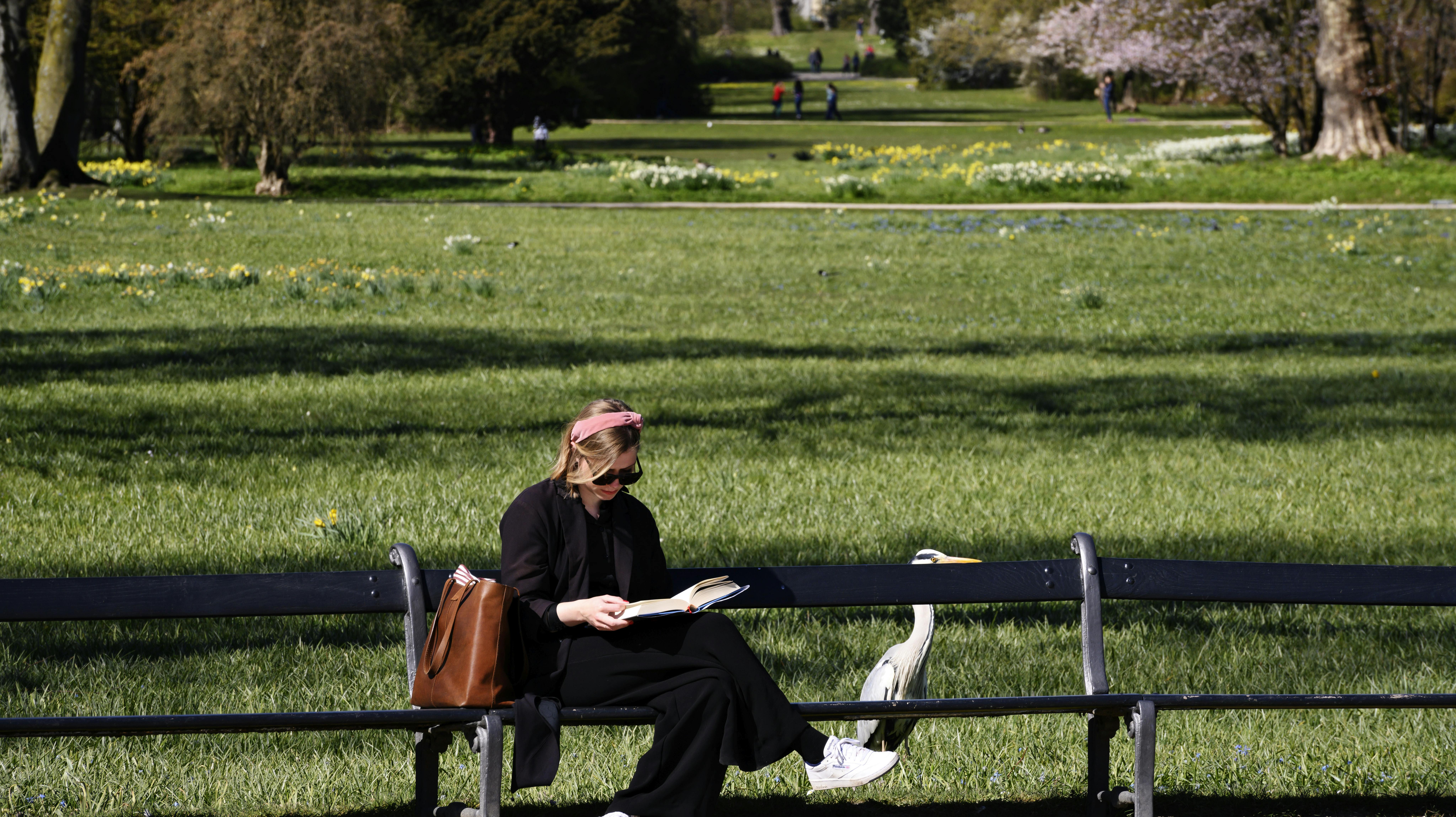 Der bliver rig mulighed for at nyde en bog på en bænk i solen, når forårsvejret ifølge TV 2 Vejret vender tilbage i næste uge. nbsp;