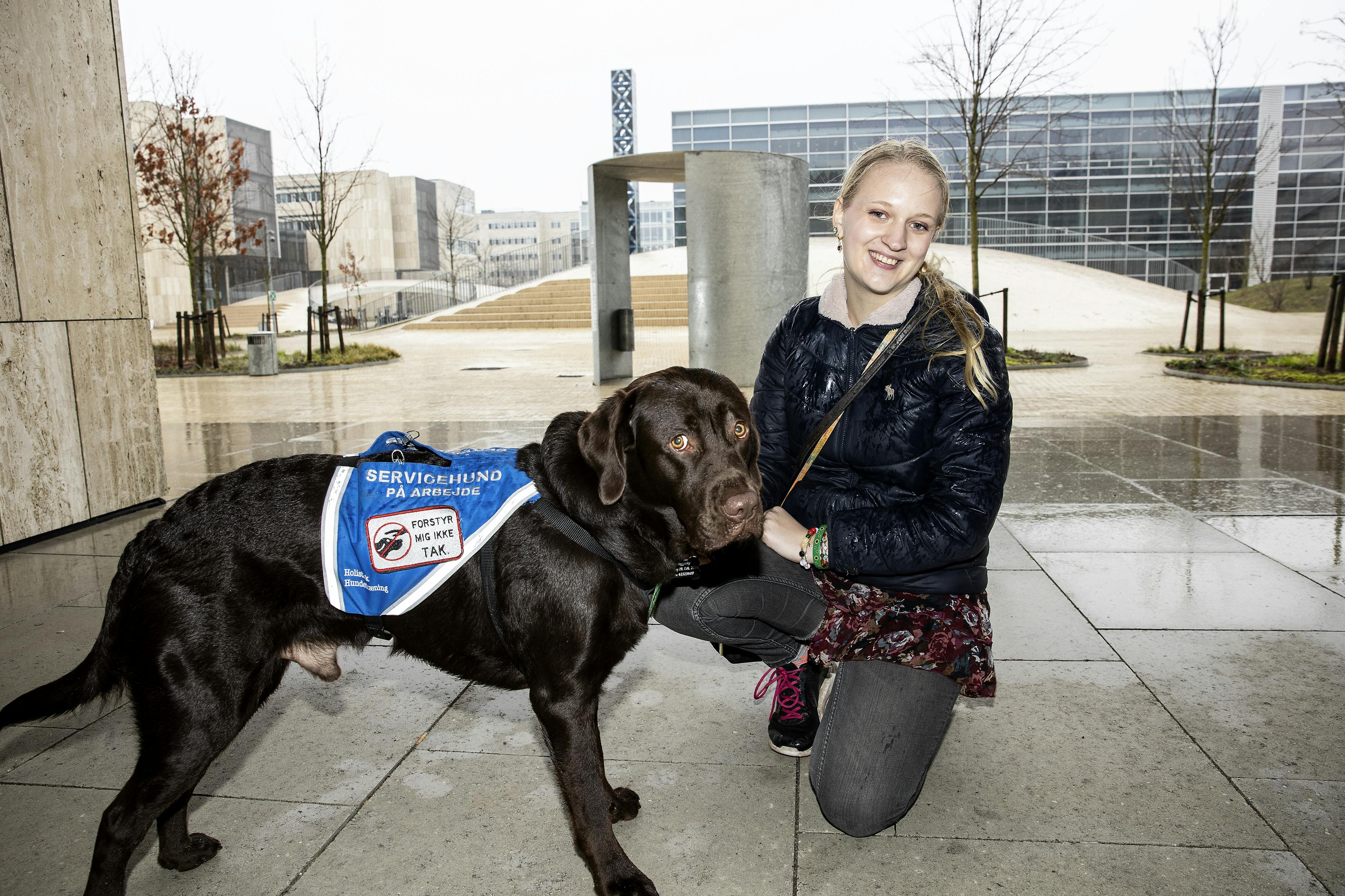 Signe kæmper en større kamp med Københavns Universitet for at få lov til at møde op til undervisning med sin hund Mocha, men ind til videre forgæves.
