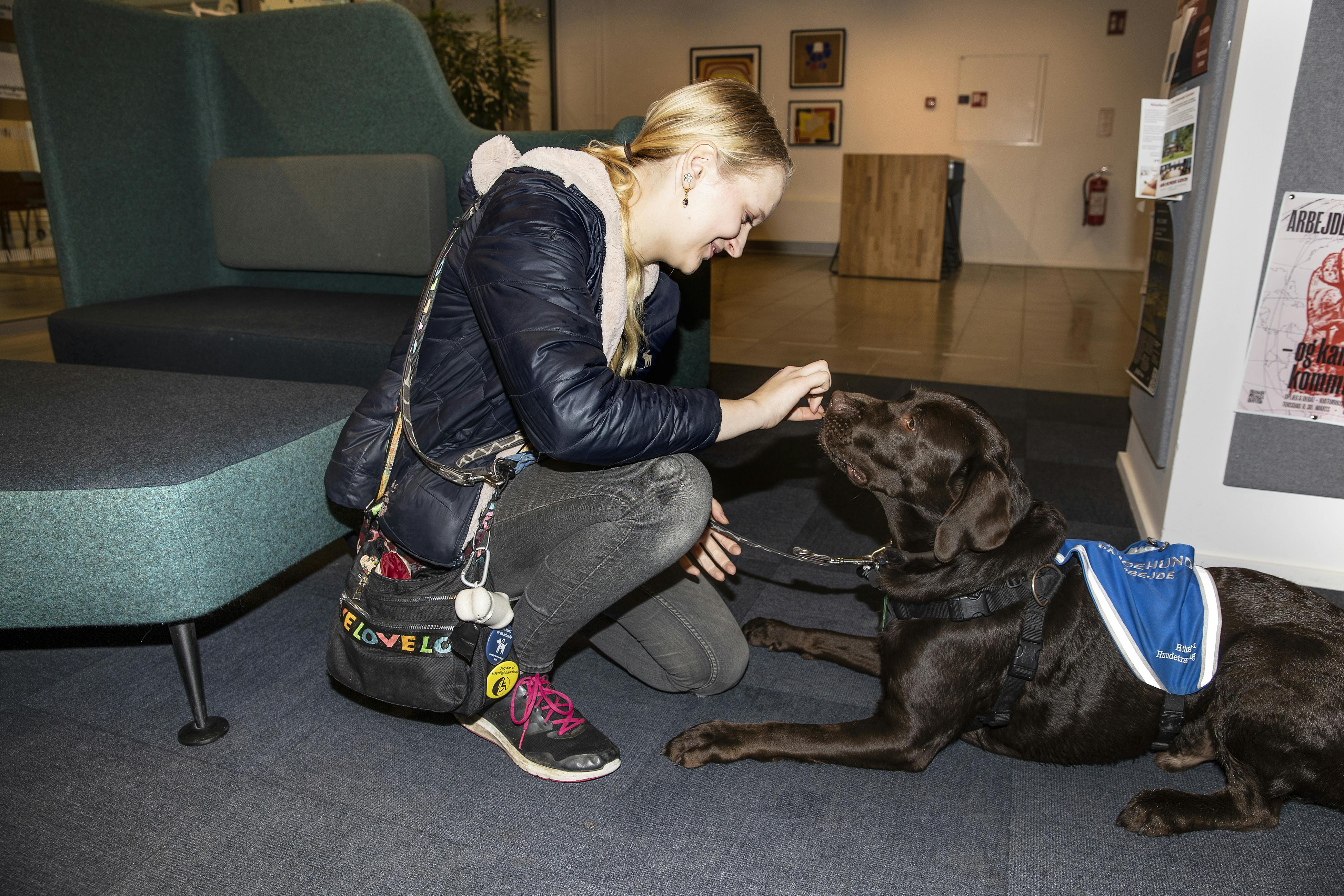 Signe har i snart to år trænet Mocha som servicehund.
