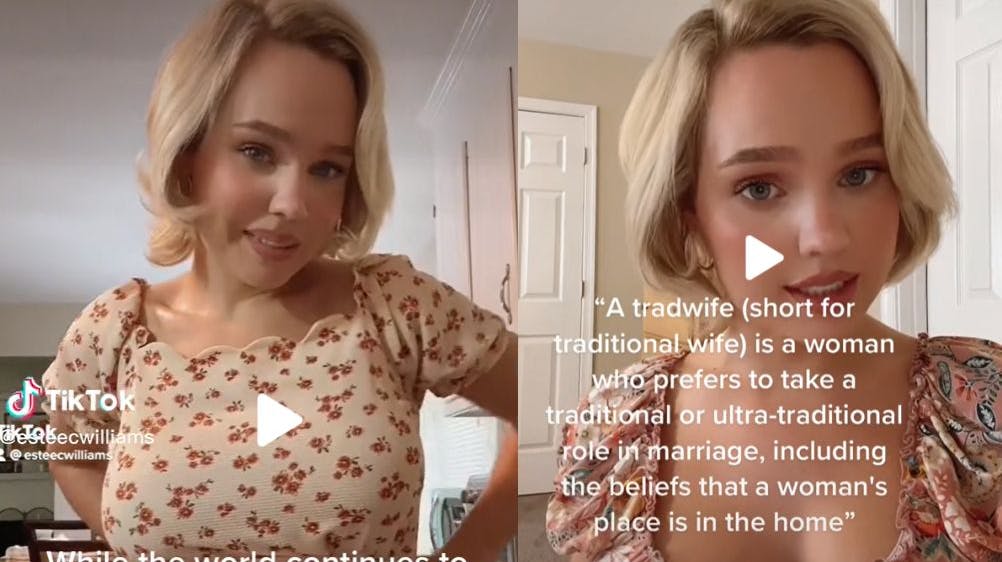 Den traditionelle husmor er tilbage.