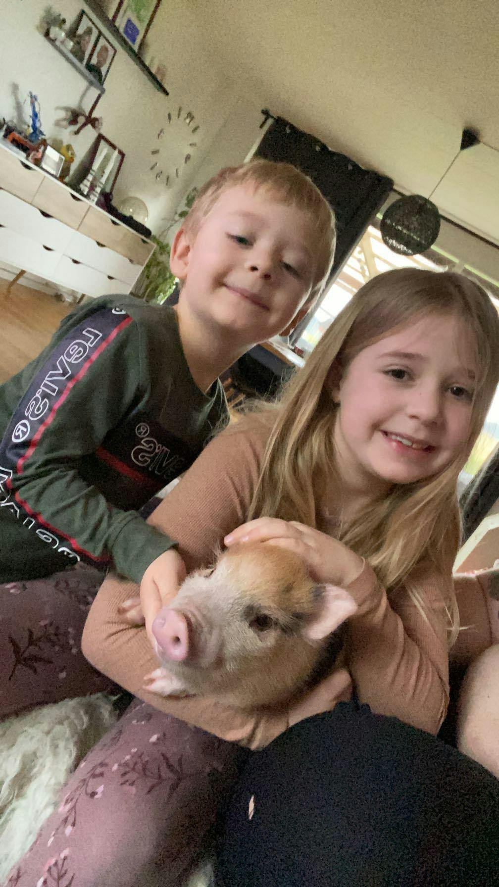 Øffe er højt elsket af Malthe og Klara, og familien er derfor knuste over udsigten til, at Øffe skal tvangsfjernes. 
