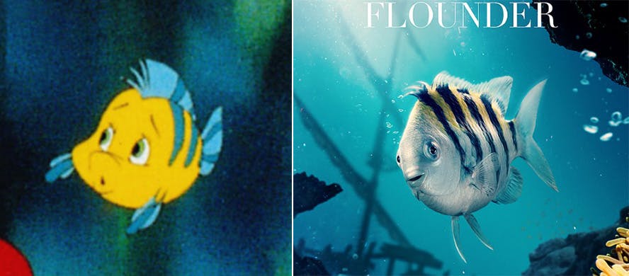 Trofaste "Den Lille Havfrue"-fans kender Tumle som en lille, buttet fisk, men det bestemt ikke sådan tegnefilmskarakteren bliver fremstillet i den kommende live action-version.&nbsp;
