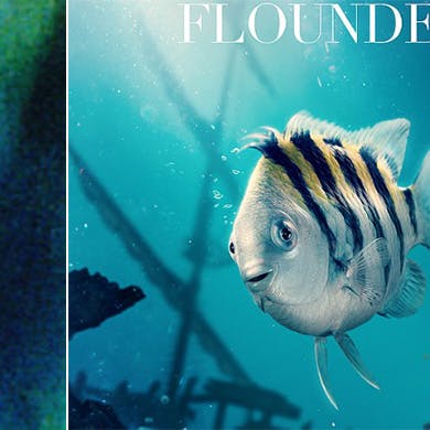 Trofaste "Den Lille Havfrue"-fans kender Tumle som en lille, buttet fisk, men det bestemt ikke sådan tegnefilmskarakteren bliver fremstillet i den kommende live action-version. 