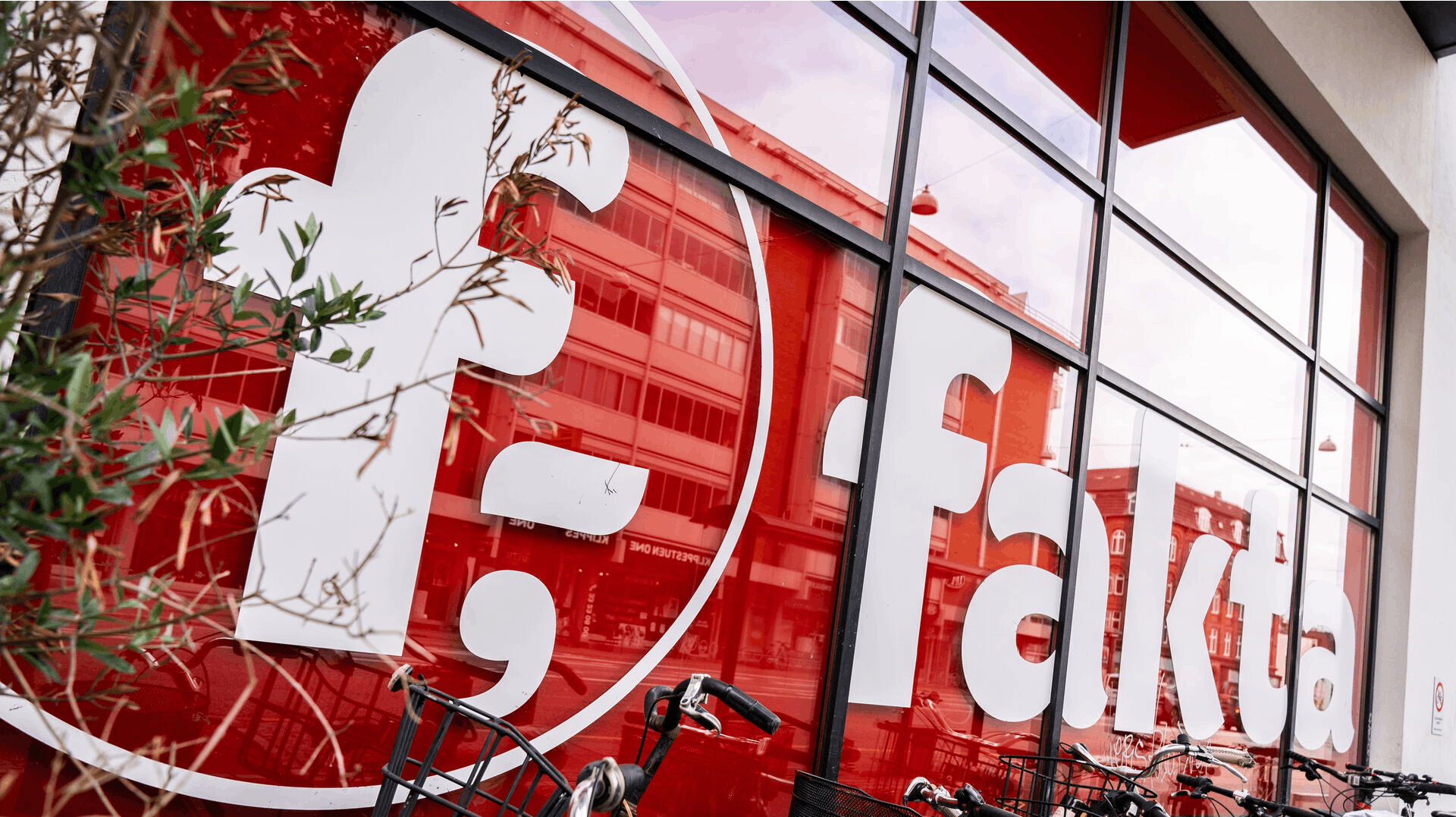 Fakta under anklage